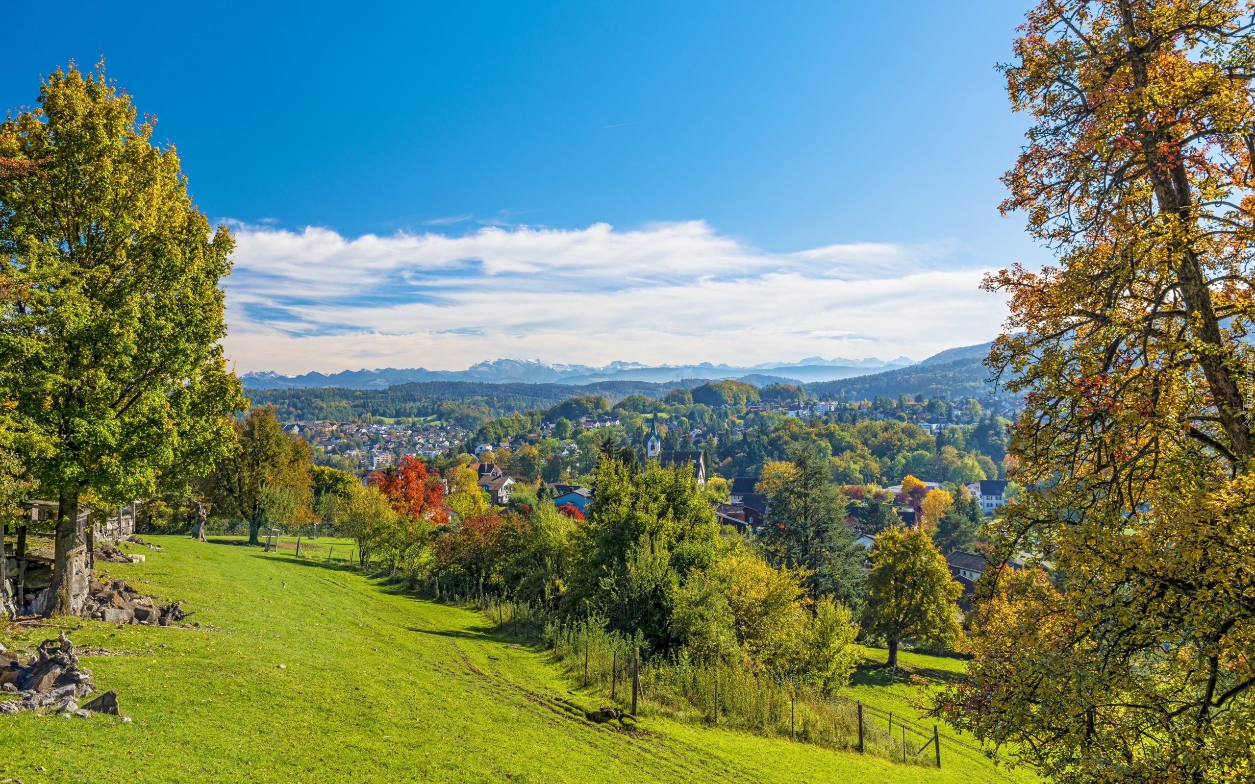 Miasto, Langnau, Szwajcaria