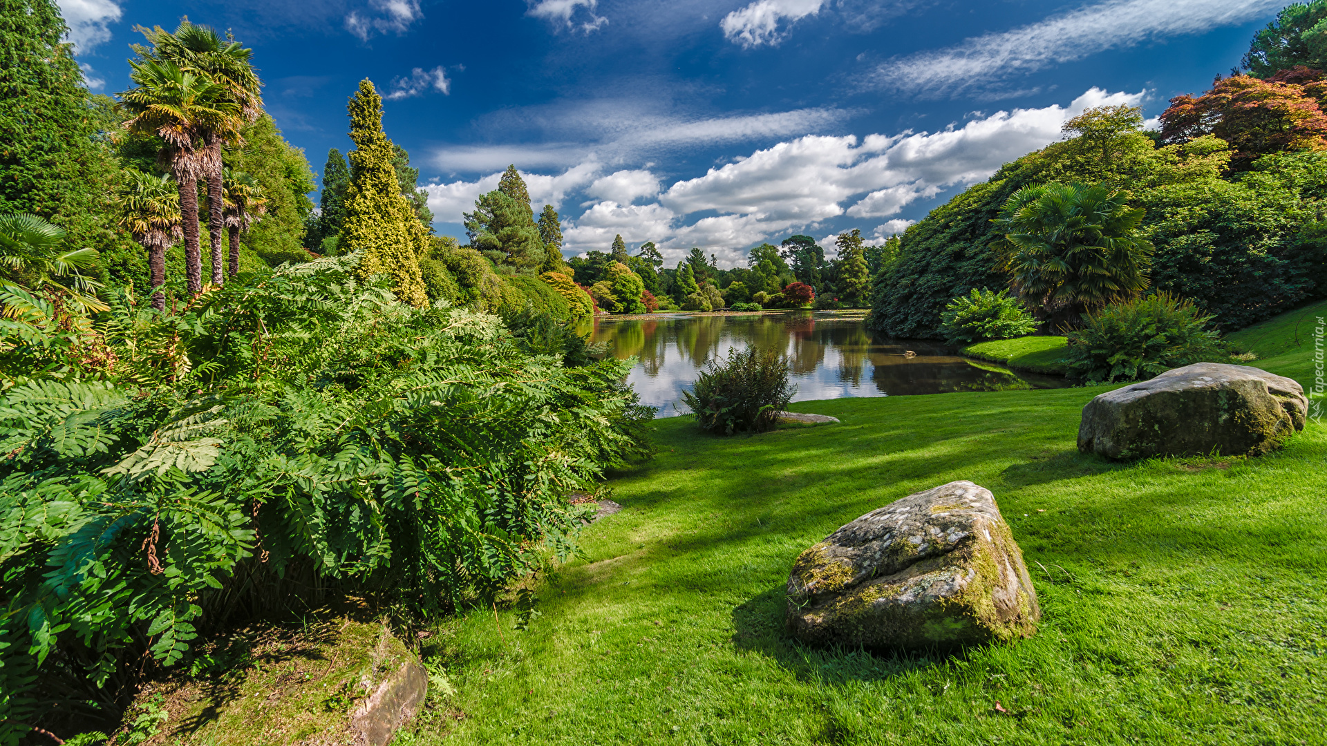 Jezioro, Park, Kamienie, Jesień