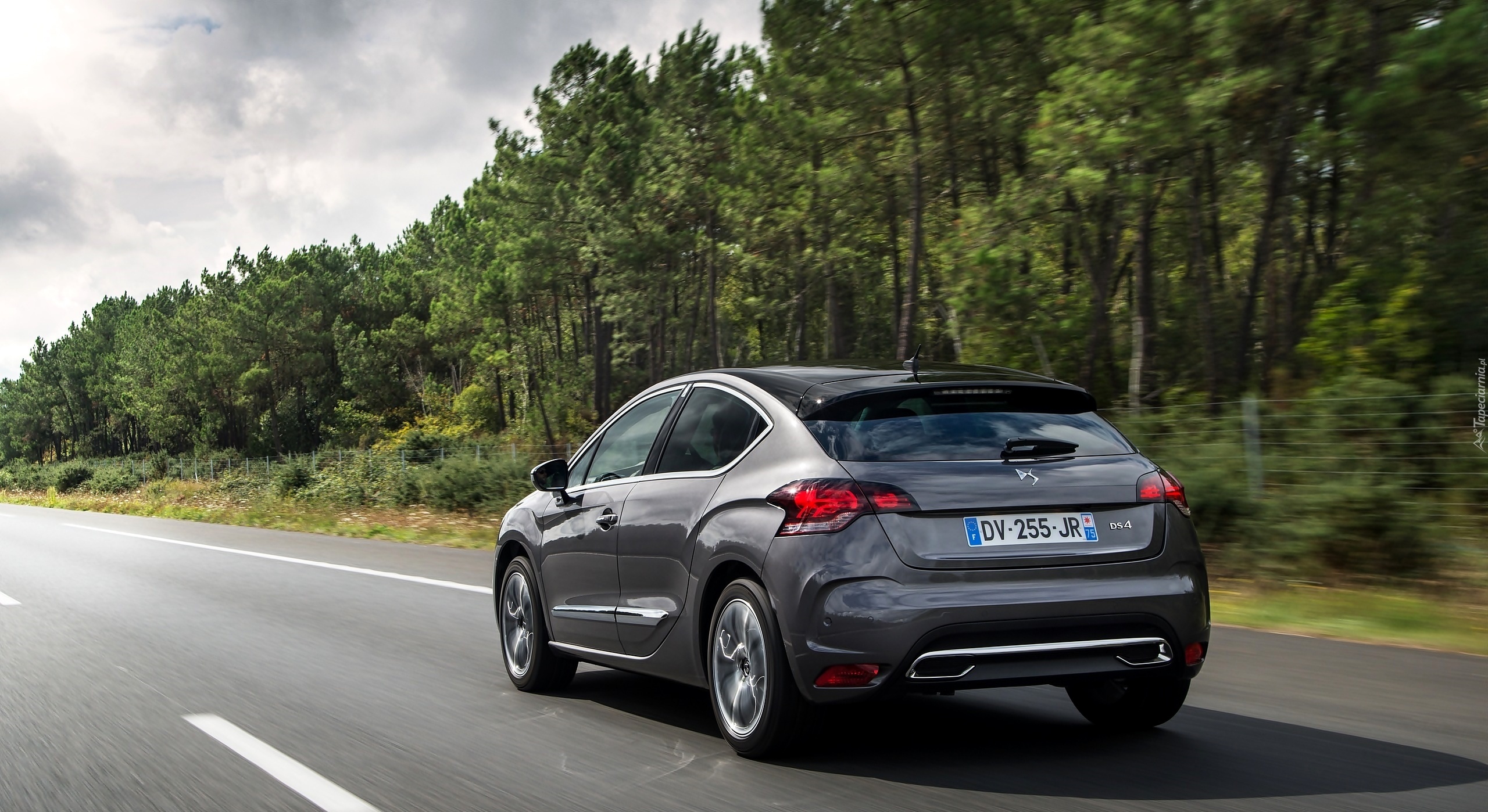 Citroen, DS4, Droga, Las