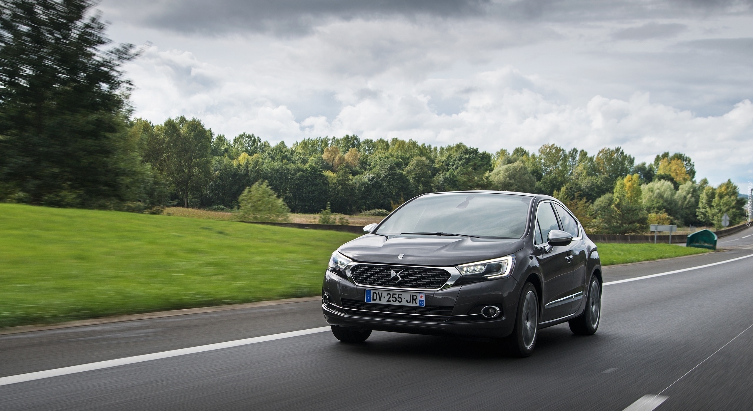 Citroen, DS4, Droga, Drzewa