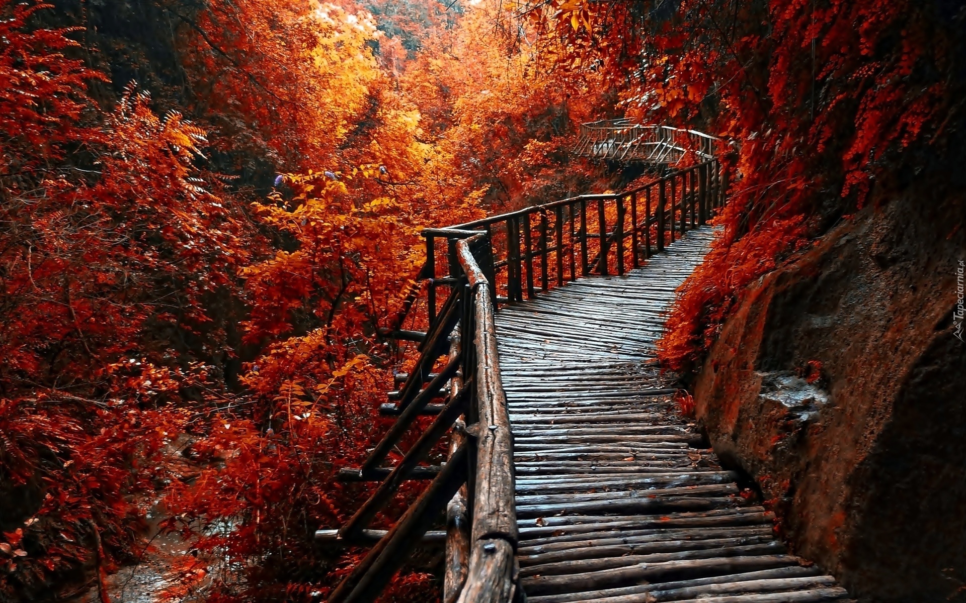 Jesień, Drzewa, Rzeka, Kanion, Mostek, Góry