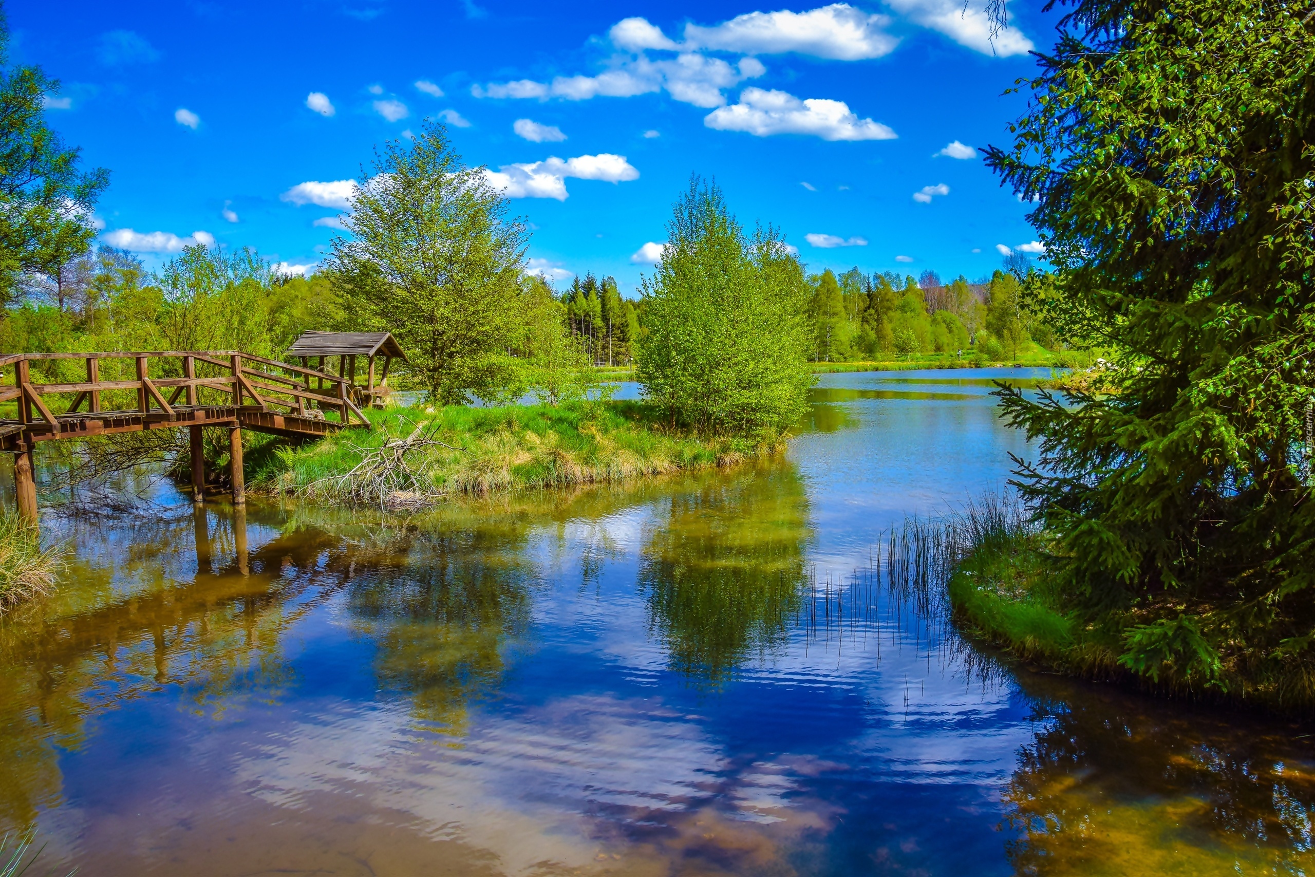 Mostek, Jezioro, Las