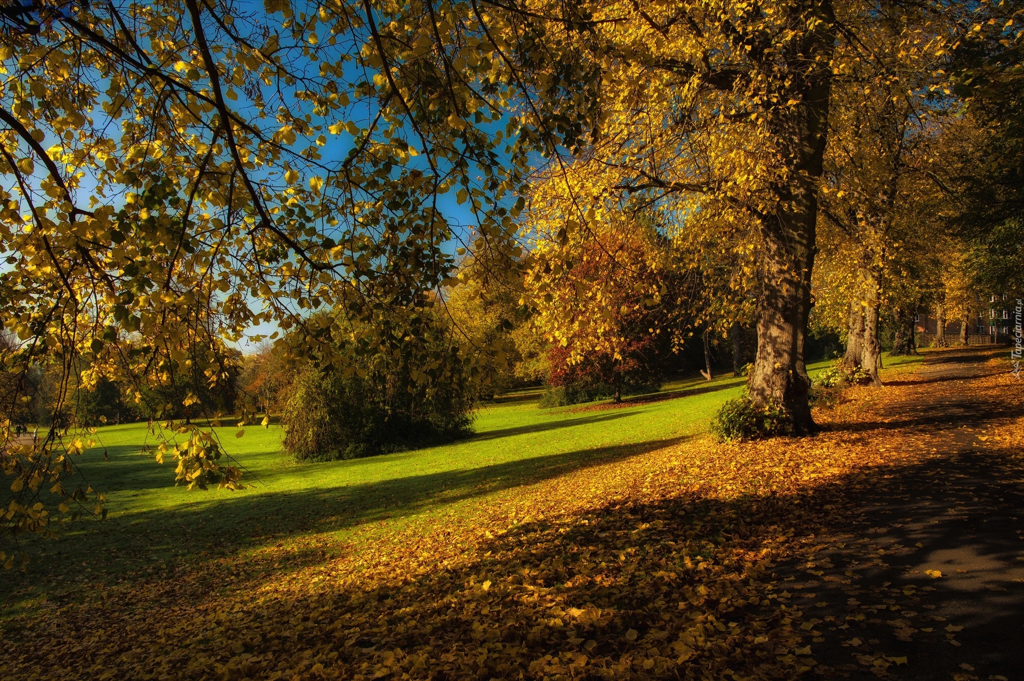 Jesień, Park