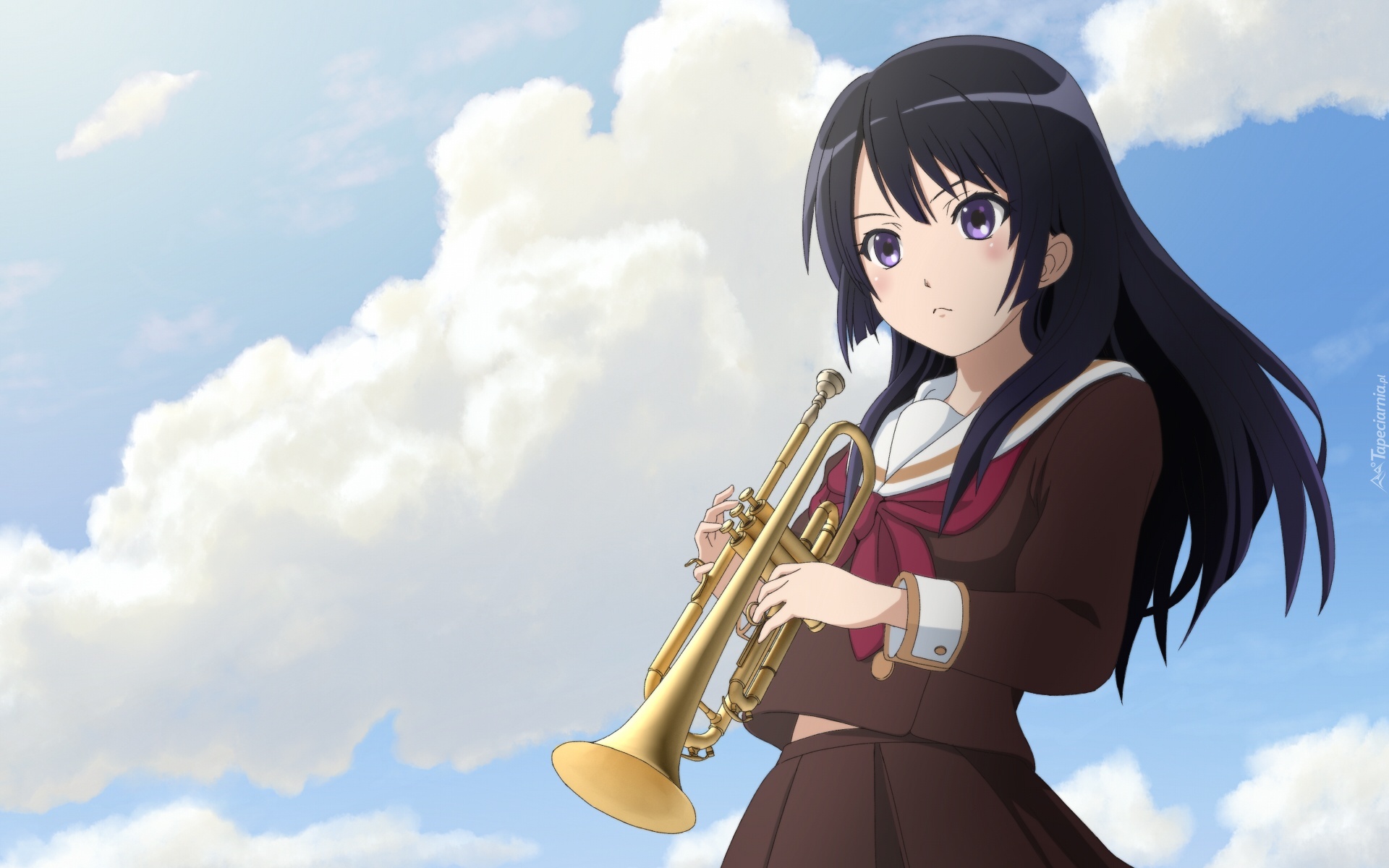 Hibike! Euphonium, Kousaka Reina