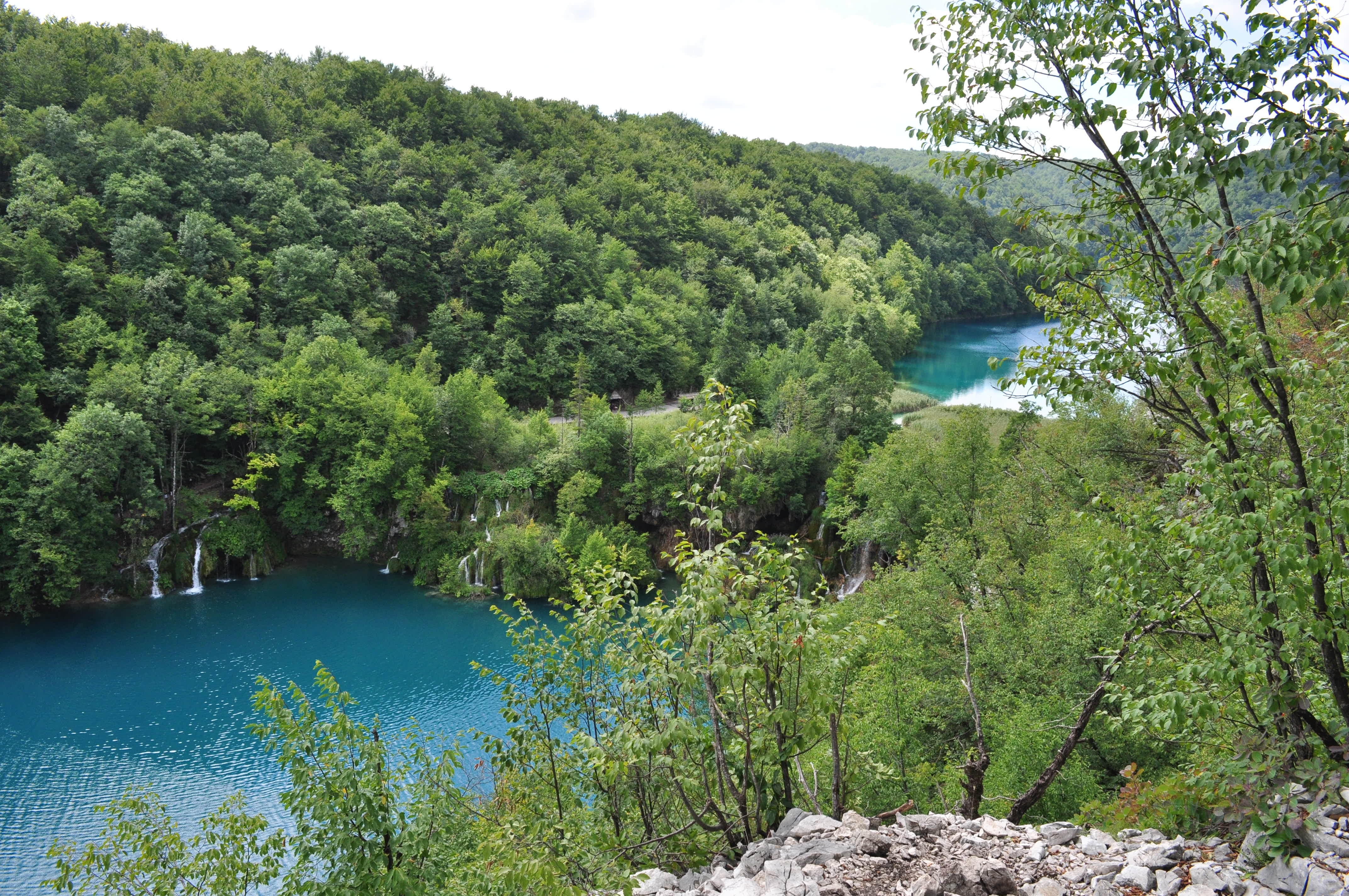 Park, Plitvickie, Jezioro, Chorwacja, Europa