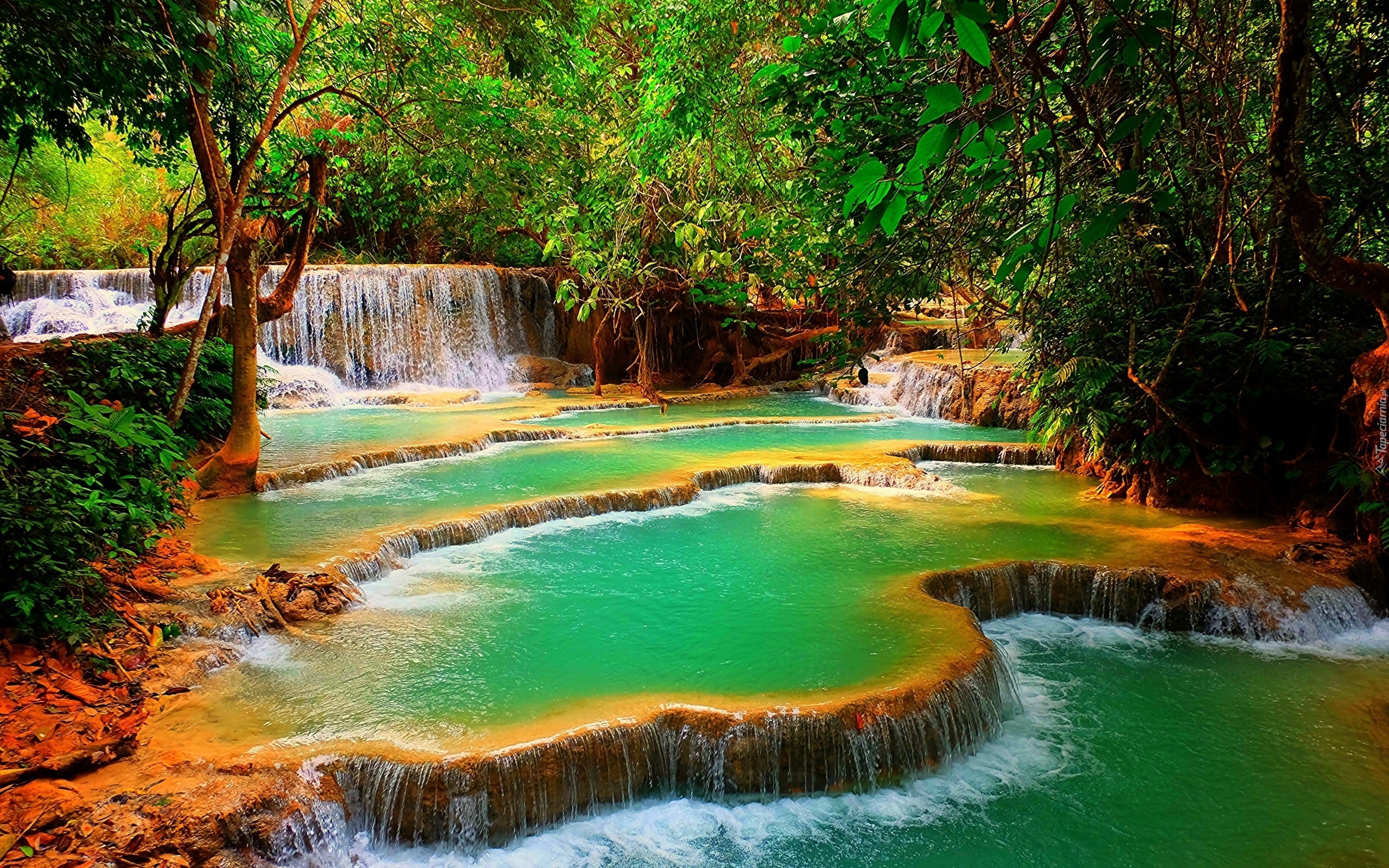 Wodospad, Kuang Si, Drzewa, Las, Laos