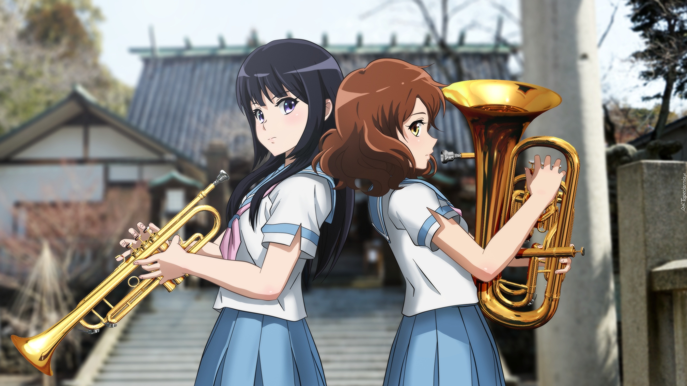 Hibike! Euphonium, Kousaka Reina, Oumae Kumiko