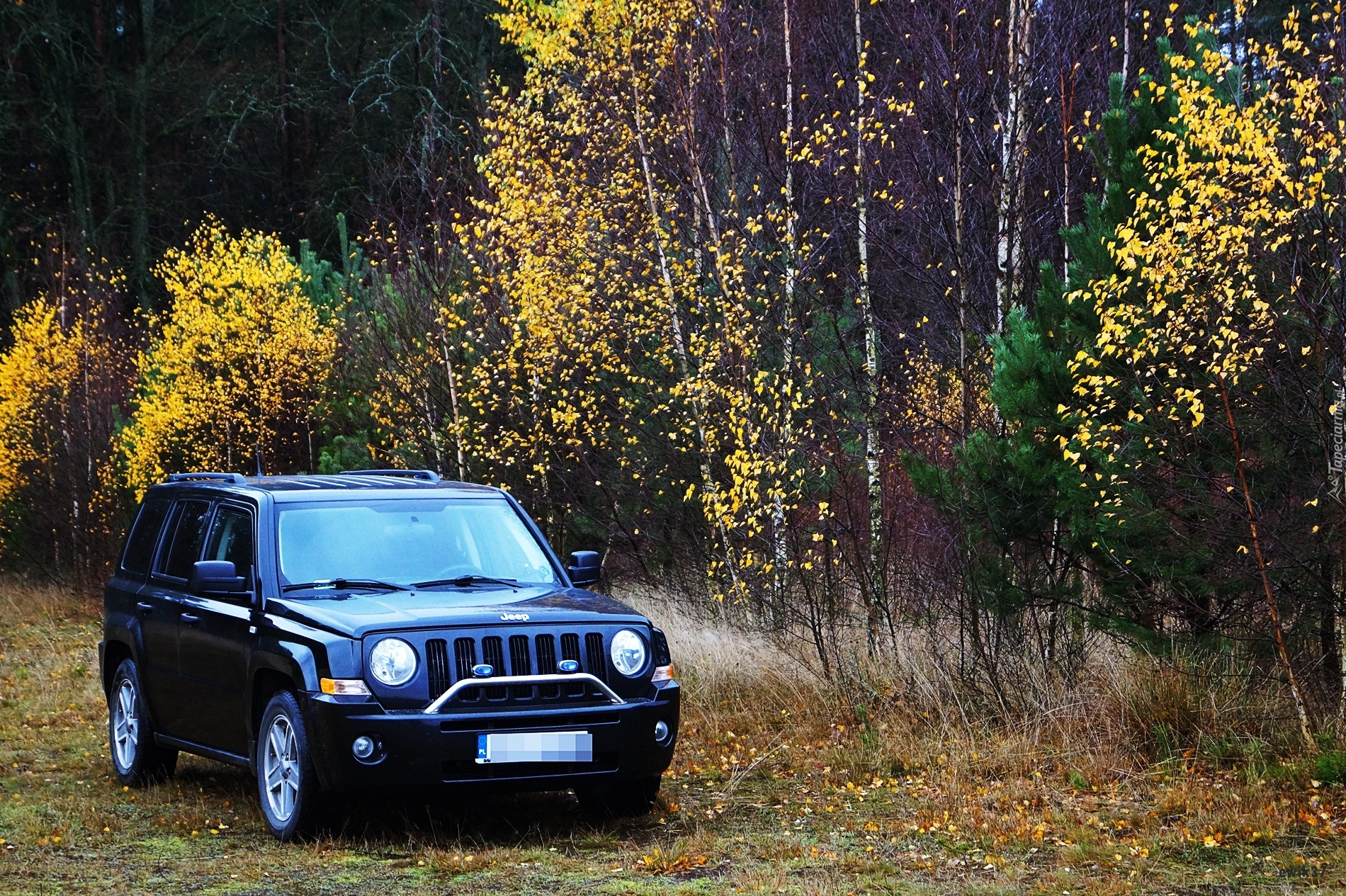 Jeep Patriot