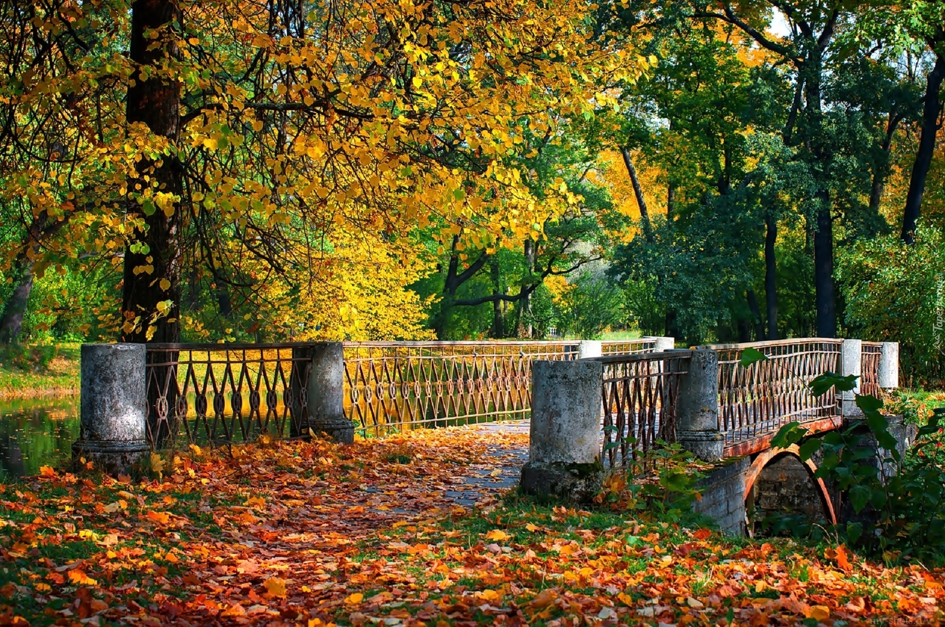 Most, Rzeka, Liście, Park, Jesień