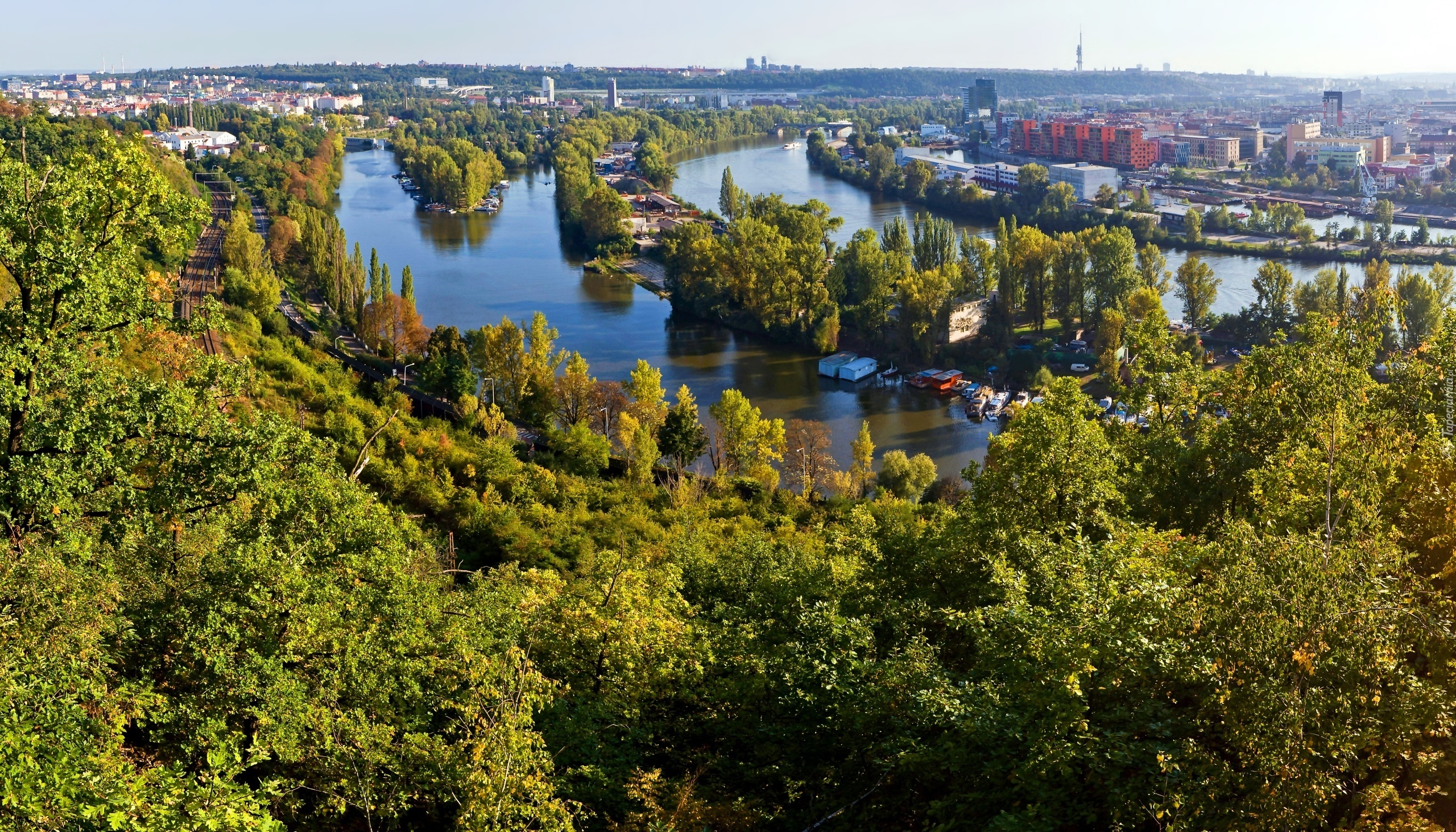 Miasto, Rzeka, Drzewa, Panorama