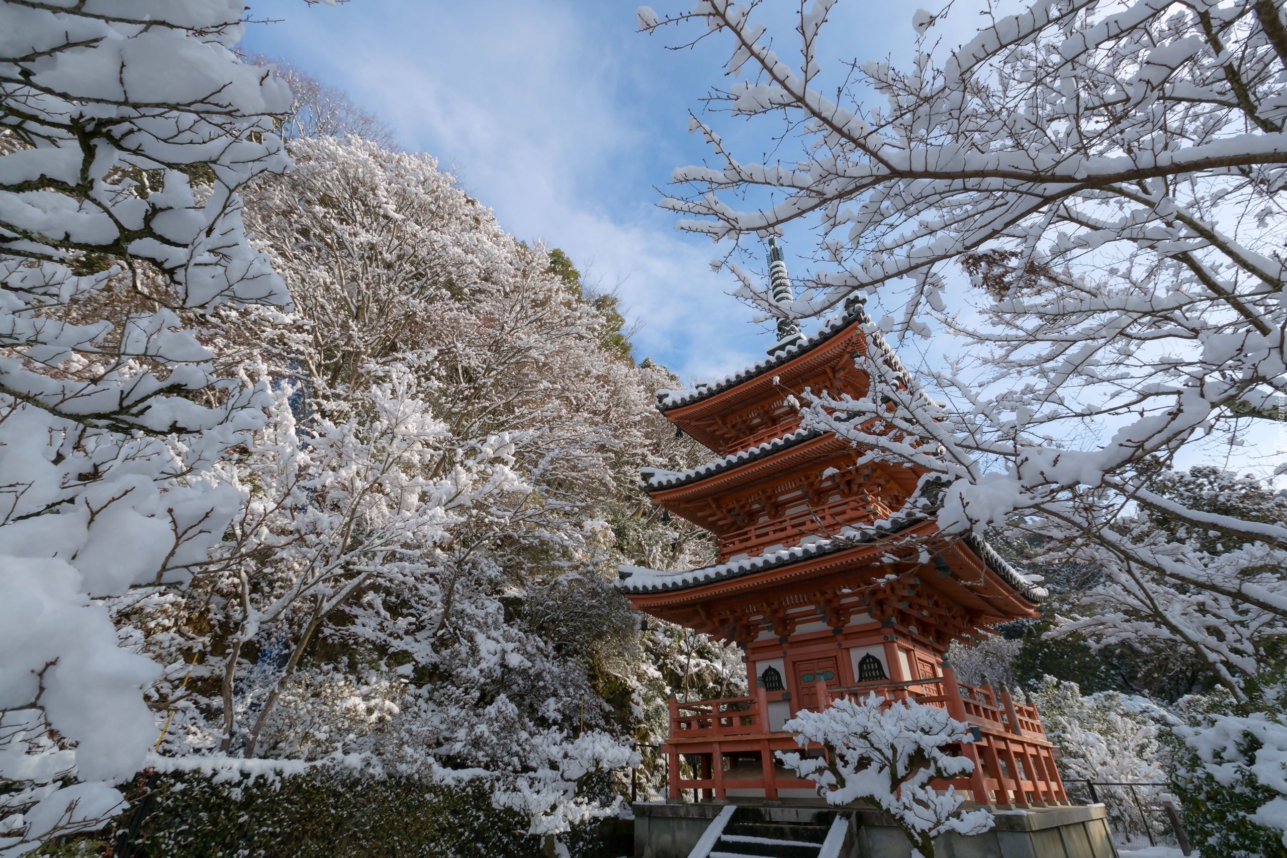 Zima, Świątynia, Drzewa, Kyoto, Japonia