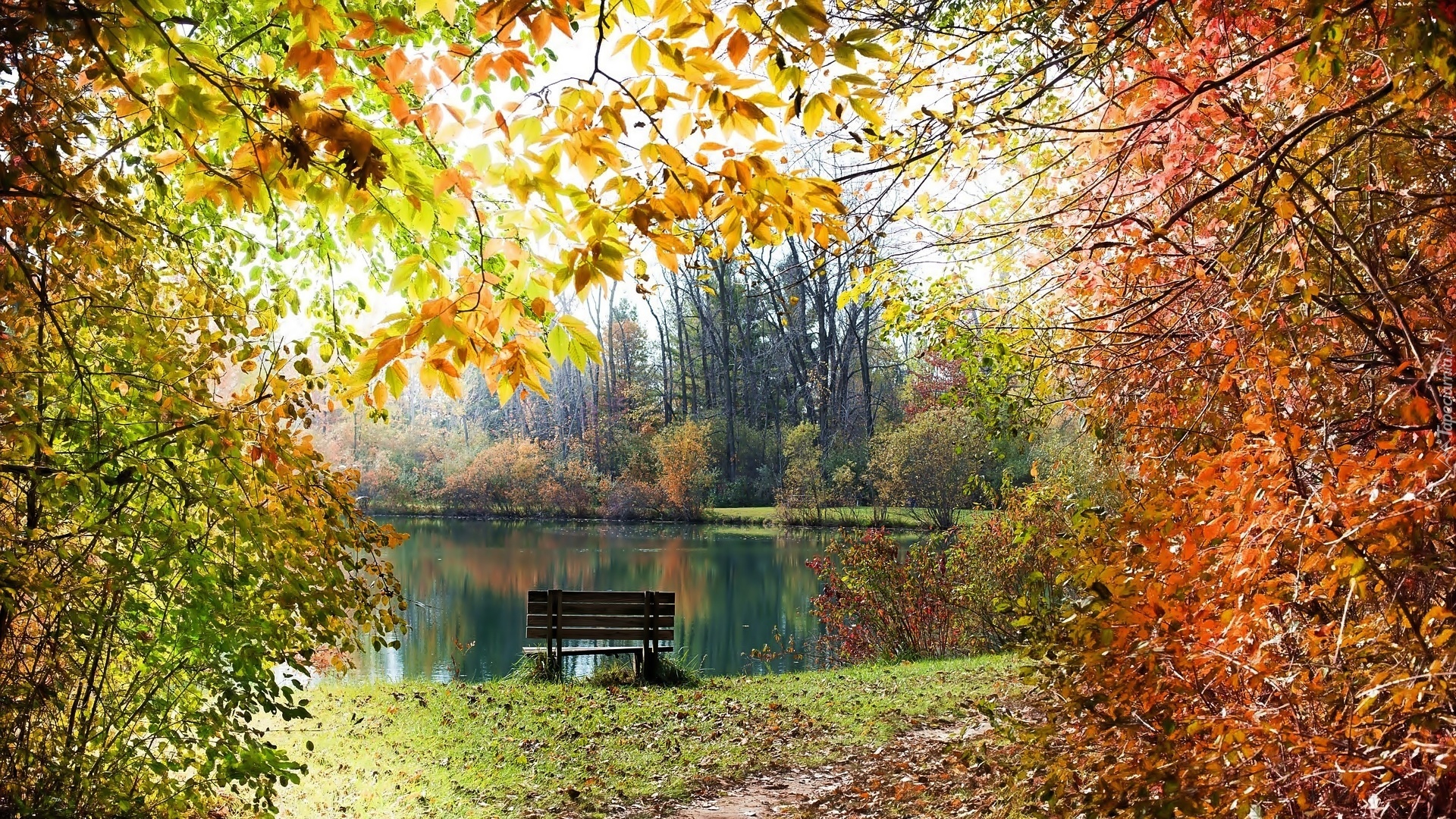 Park, Staw, Drzewa, Ławka, Ścieżka, Jesień