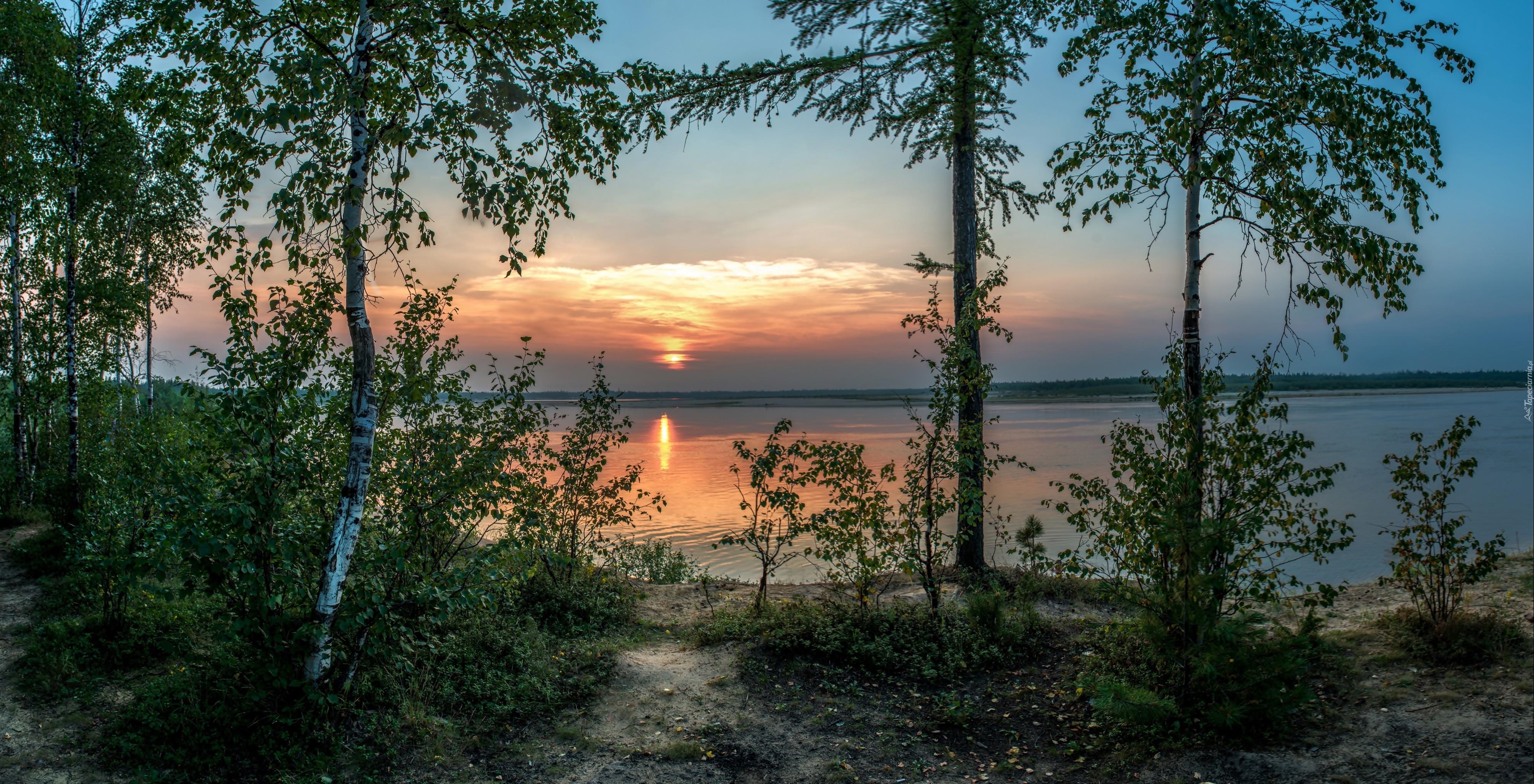 Jezioro, Zachód, Słońca, Drzewa, Brzozy