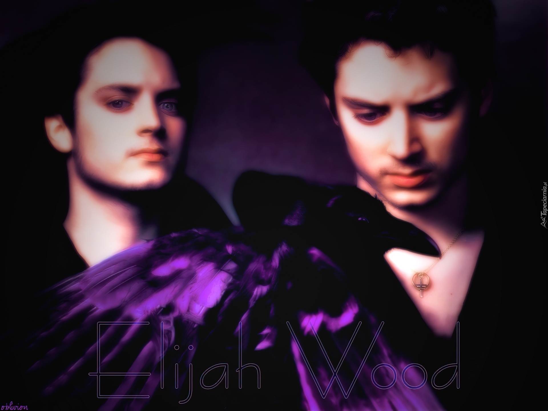 Elijah Wood,niebieskie oczy, ptak