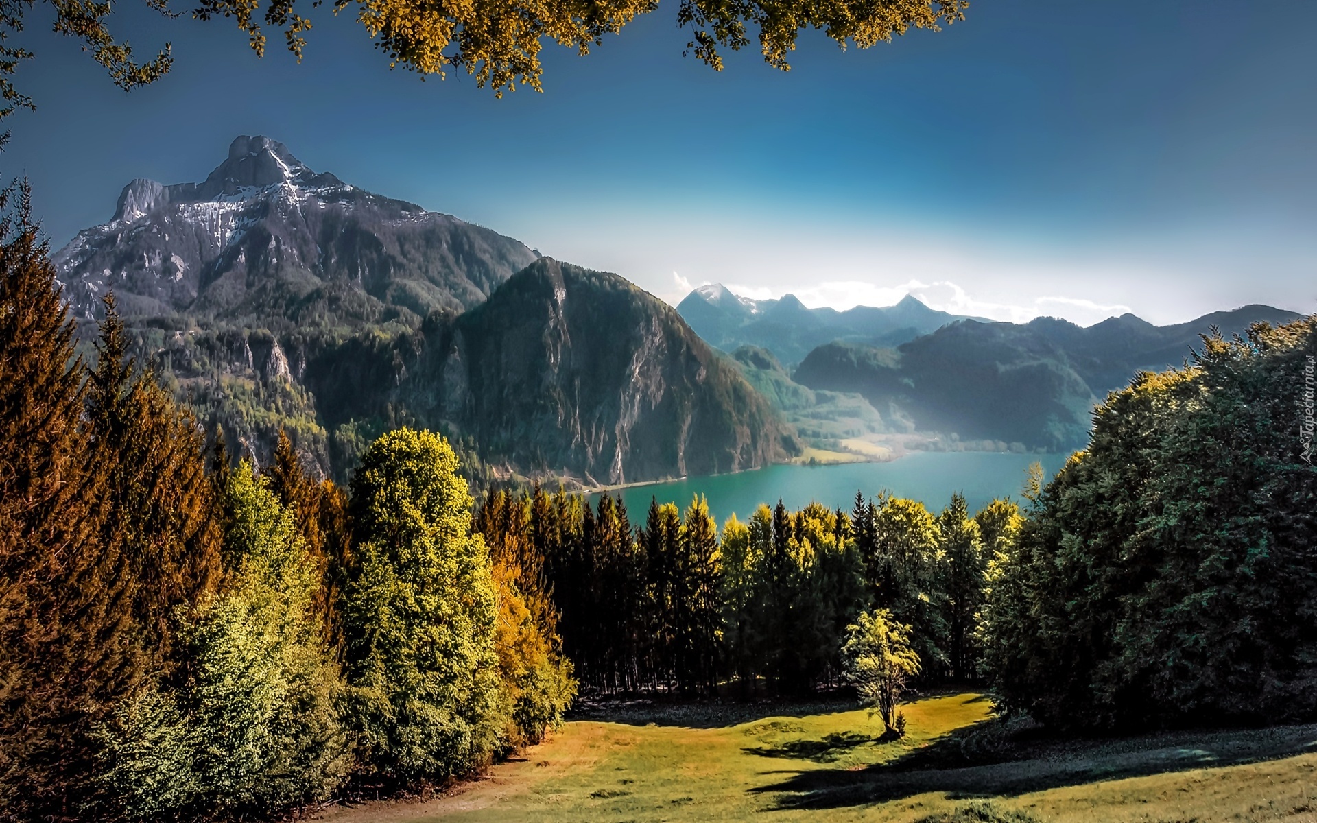 Austria, Góry, Jezioro, Lasy