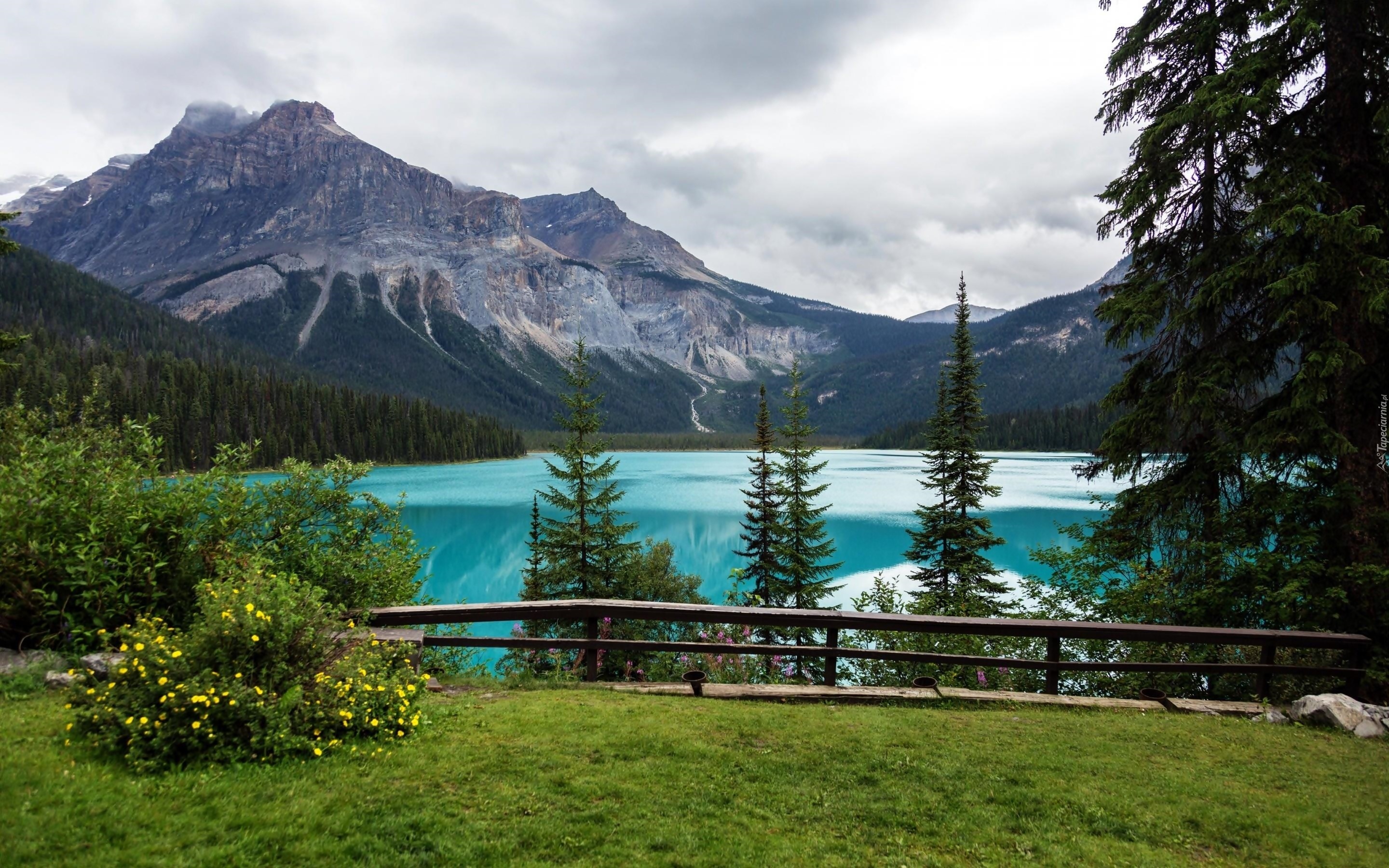 Kanada, Park Narodowy Yoho, Jezioro, Góry, Lasy