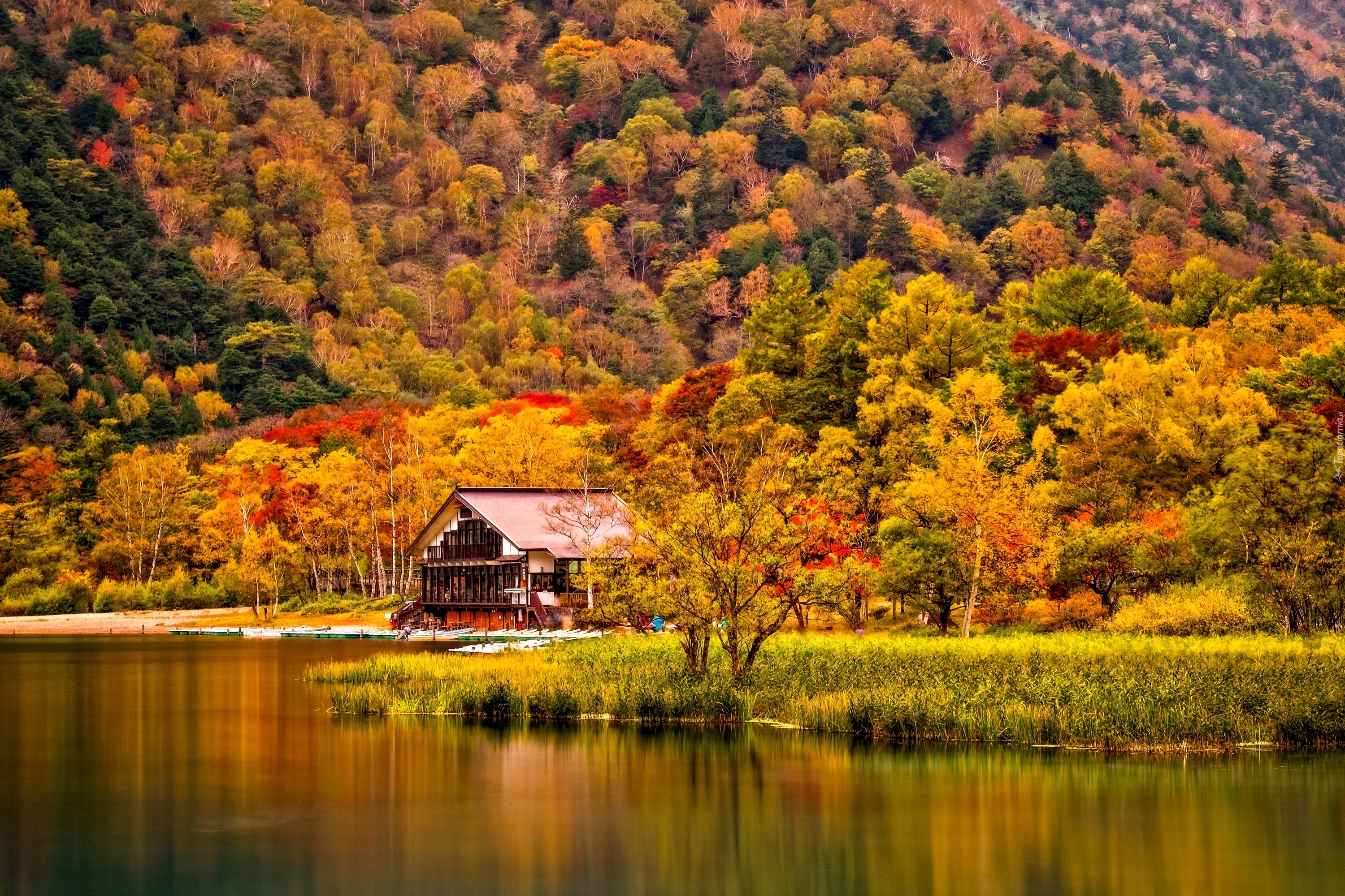 берег дома осень shore home autumn скачать