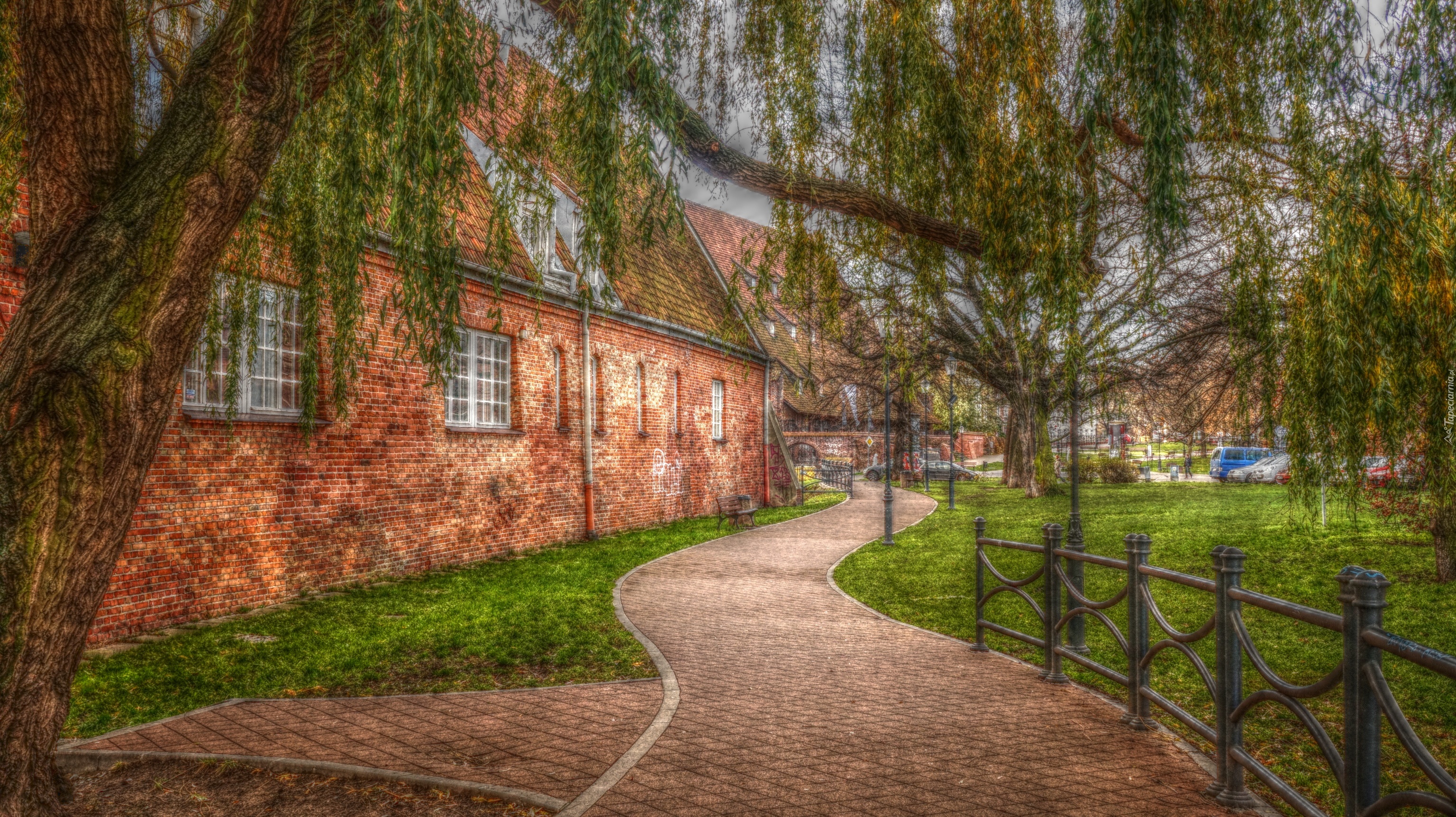 Gdańsk, Polska, Alejka, Budynek, Drzewo, HDR