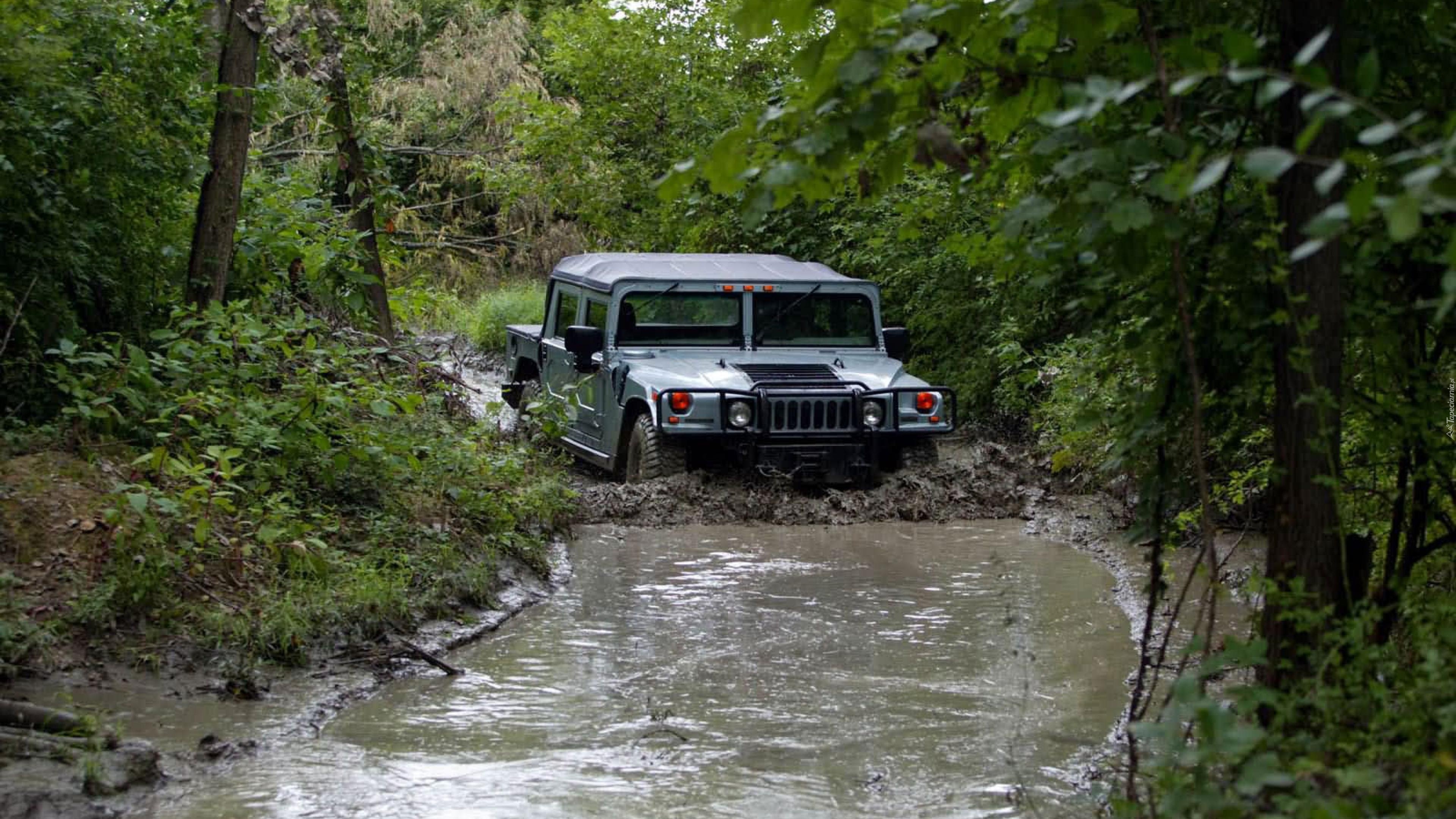 Hummer, H1, Samochód