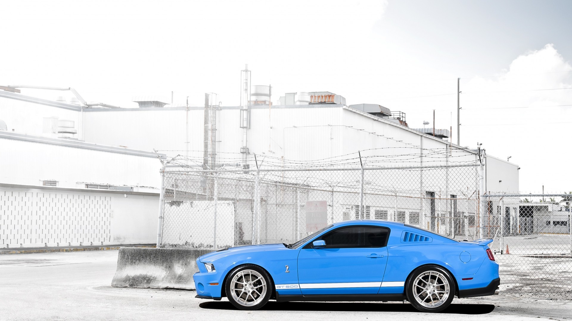 Błękitny, Mustang, Shelby, GT 500