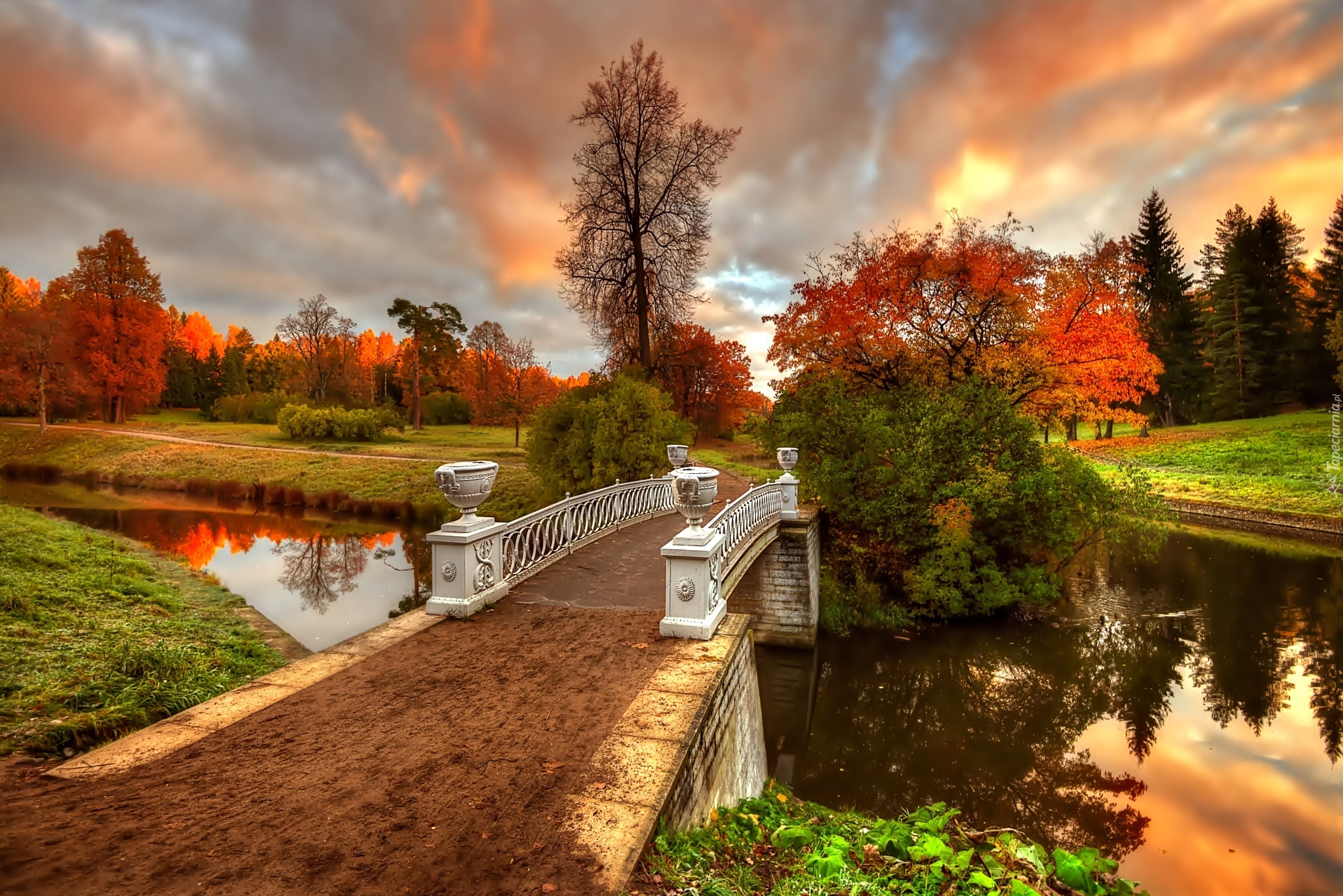 Jesień, Park, Mostek, Petersburg