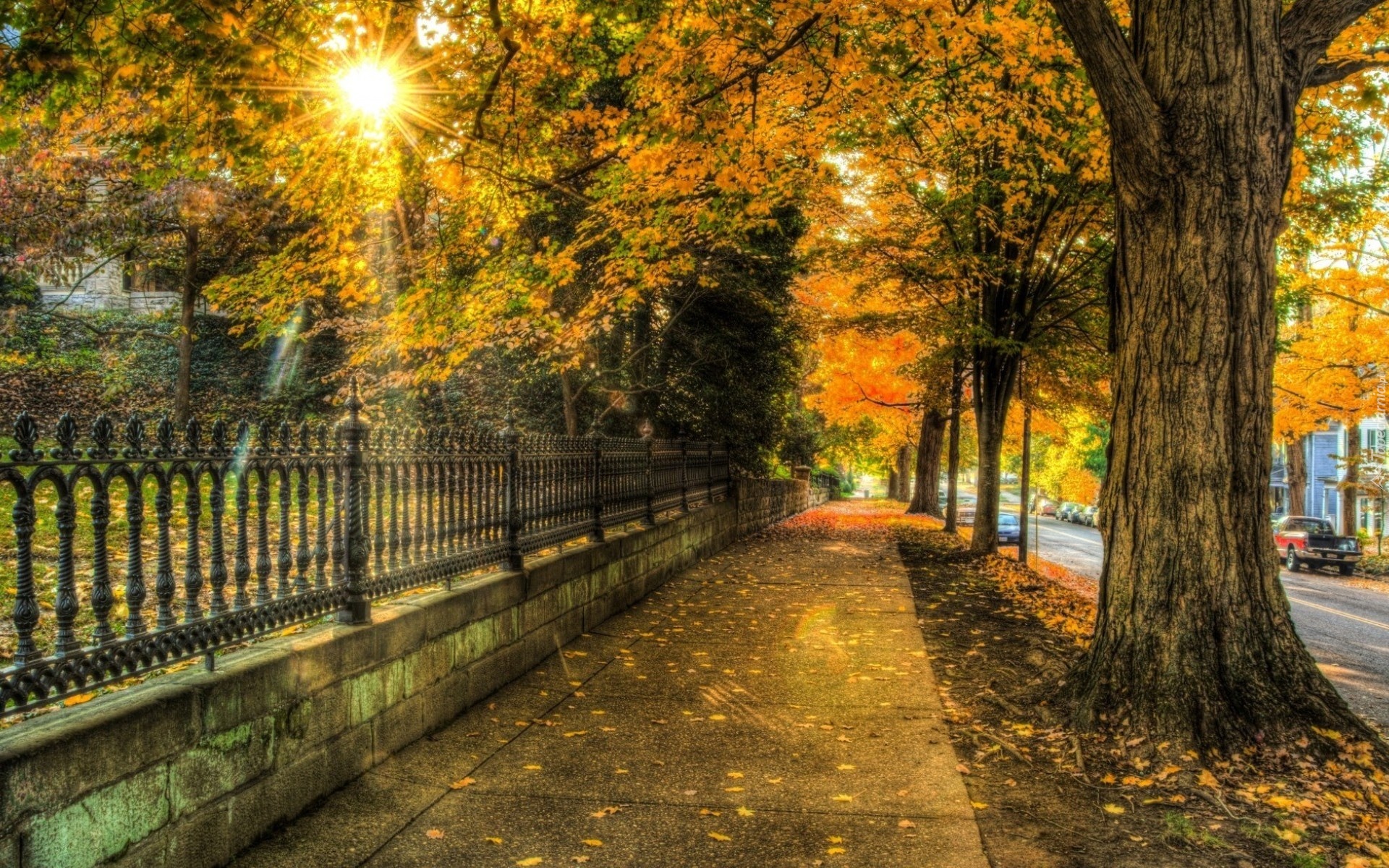 Chodnik, Ogrodzenie, Park