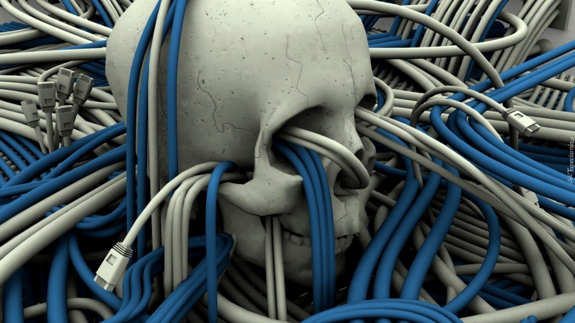 3D, Grafika, Czaszka, Przewody