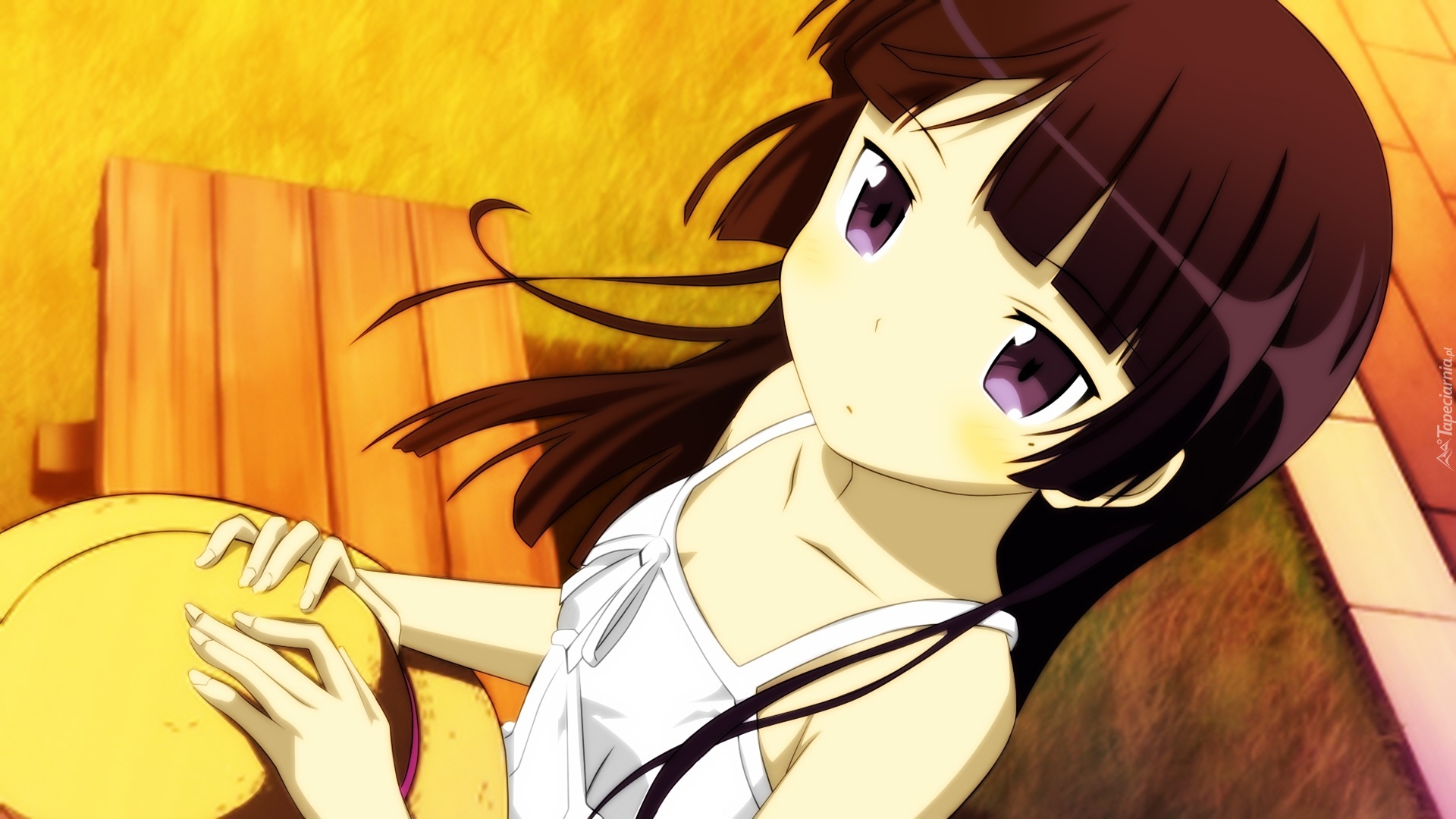 Ore No Imouto Ga Konnani Kawaii Wake Ga Nai Gokou Ruri