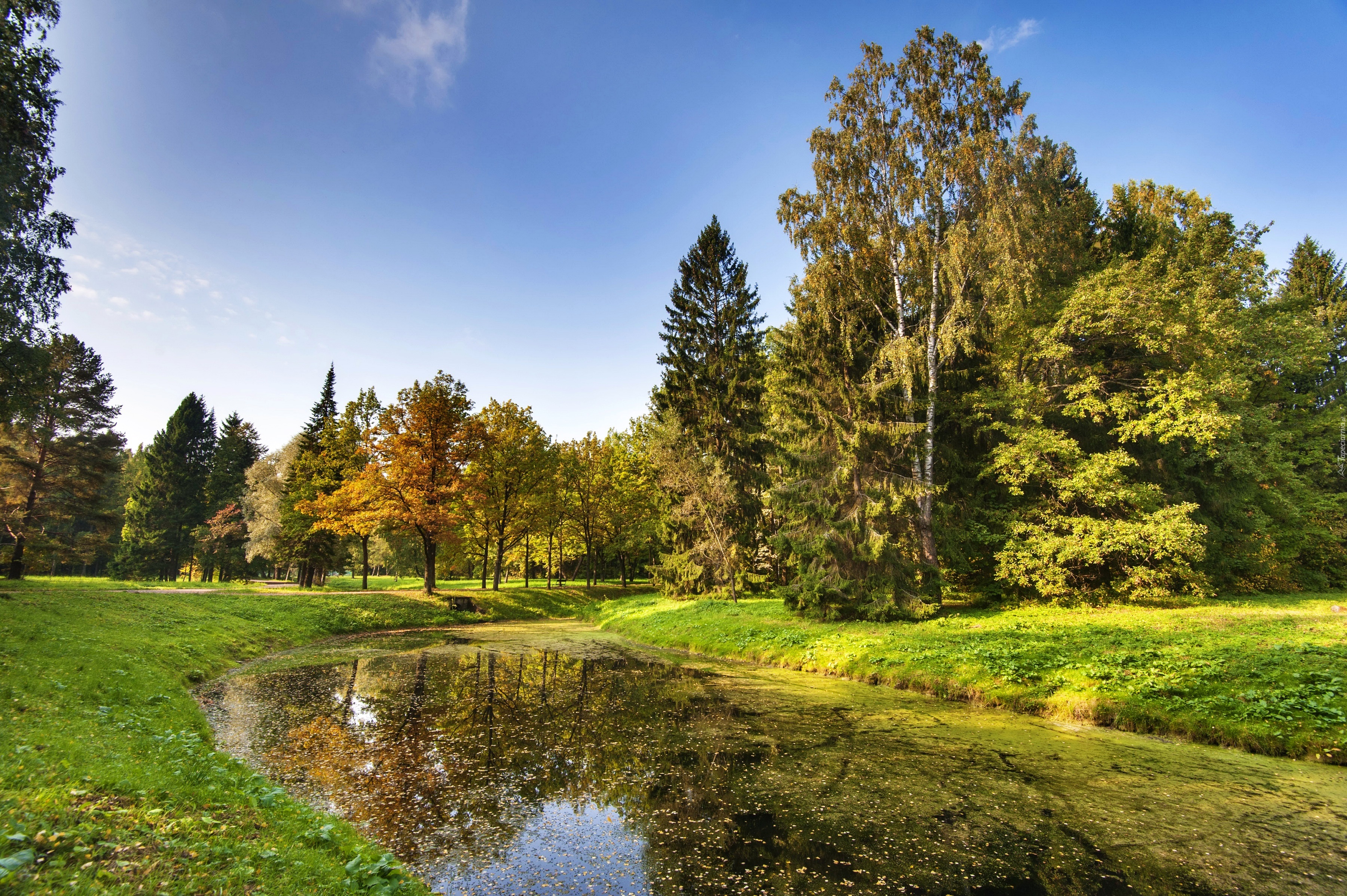 Rosja, Petersburg, Park, Jesień