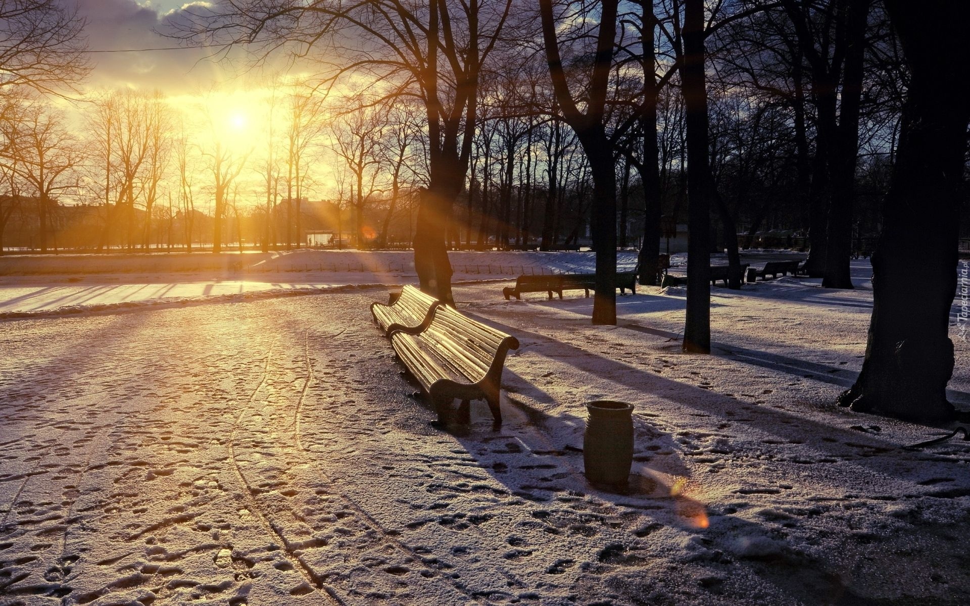 Park, Zima, Staw, Ławki, Promienie, Słońca