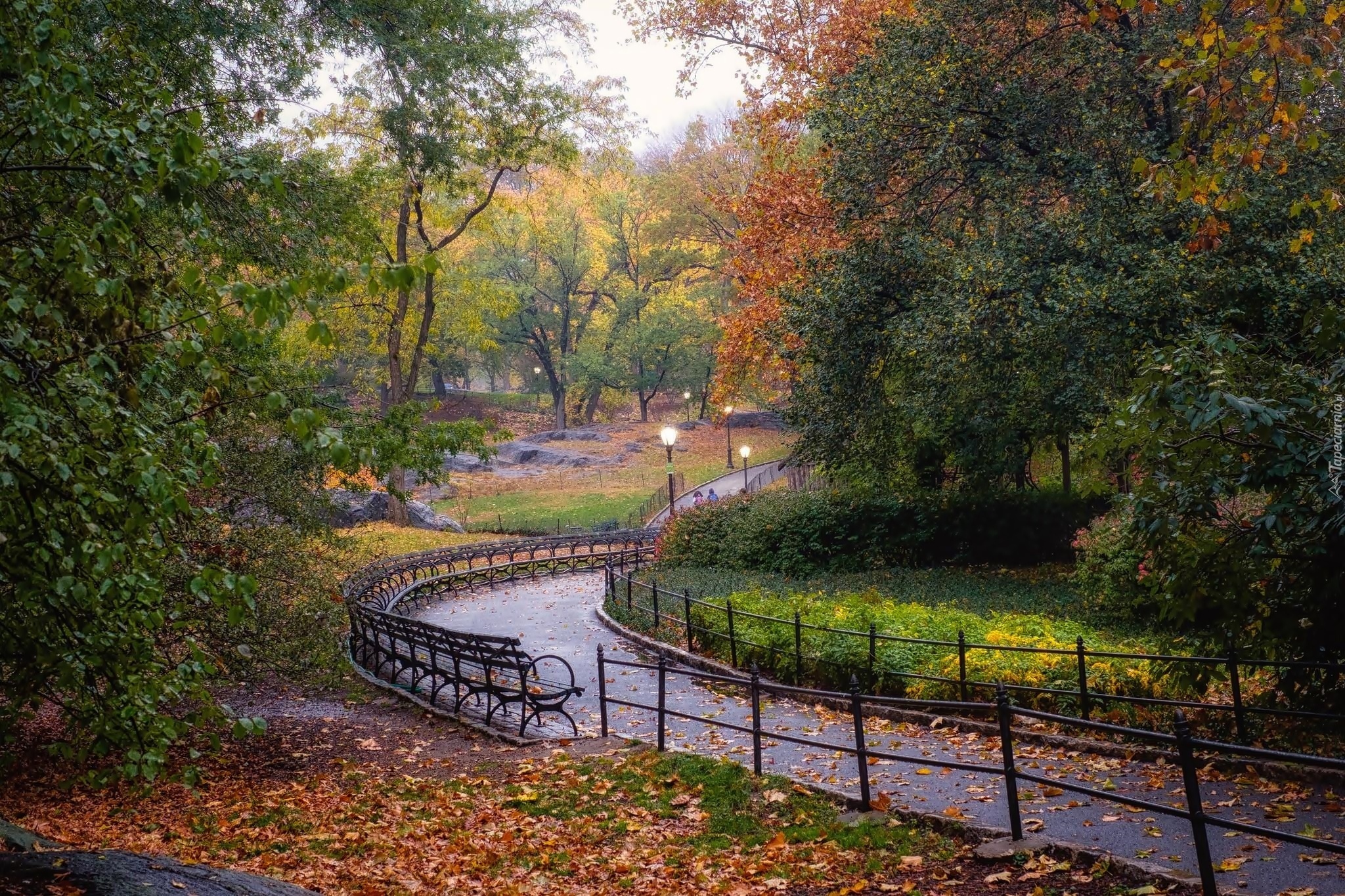 Park, Alejka, Kwiaty, Drzewa, Liście, Jesień