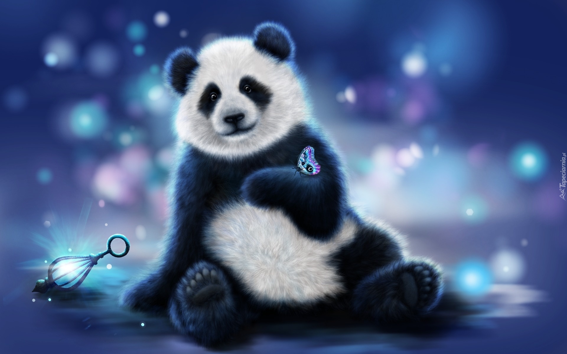 Panda, Motyl