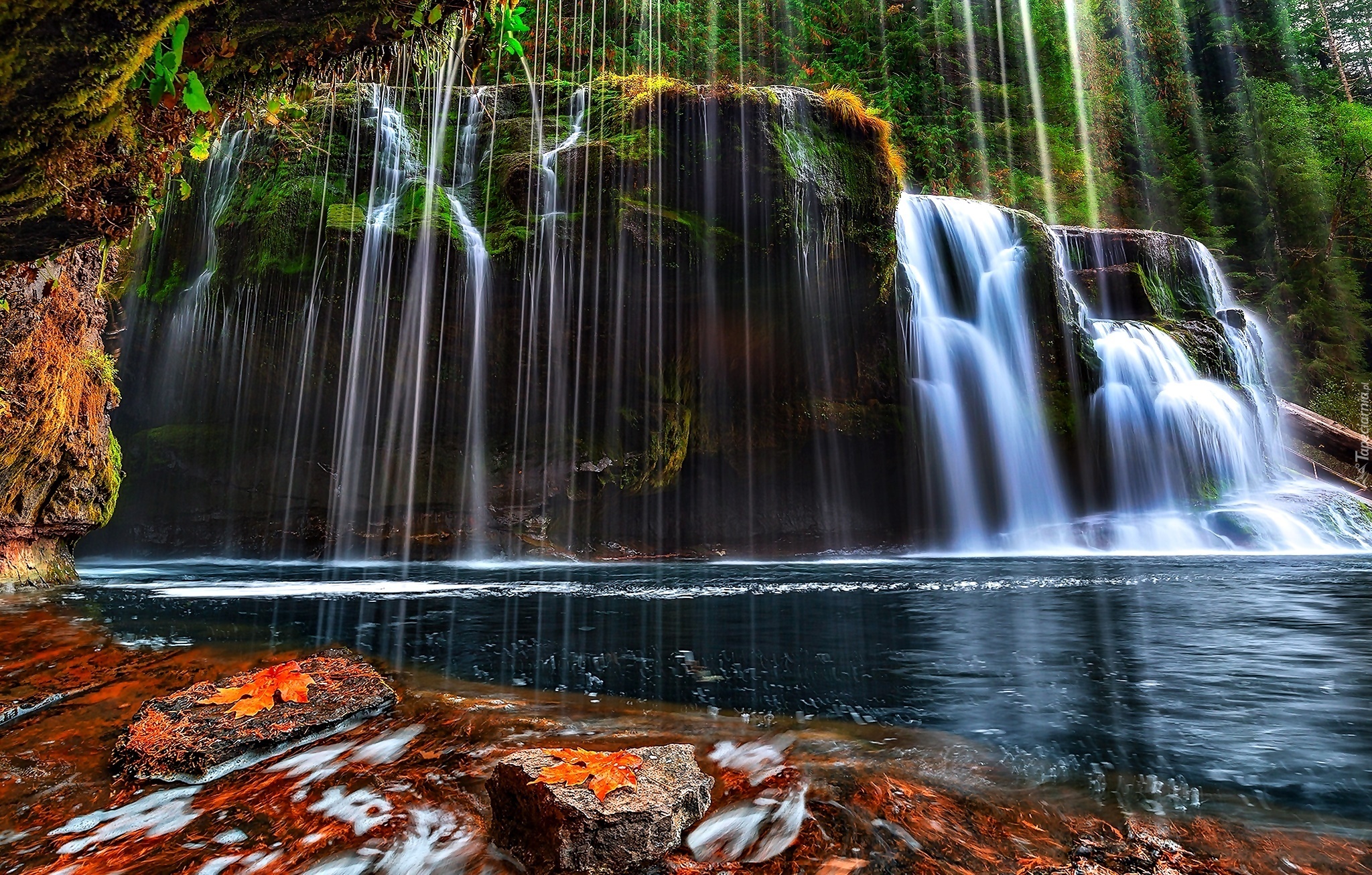 Wodospad, Lower Lewis River Falls, Rzeka, Skała, Drzewa, Jesień, Stan Waszyngton, Stany Zjednoczone