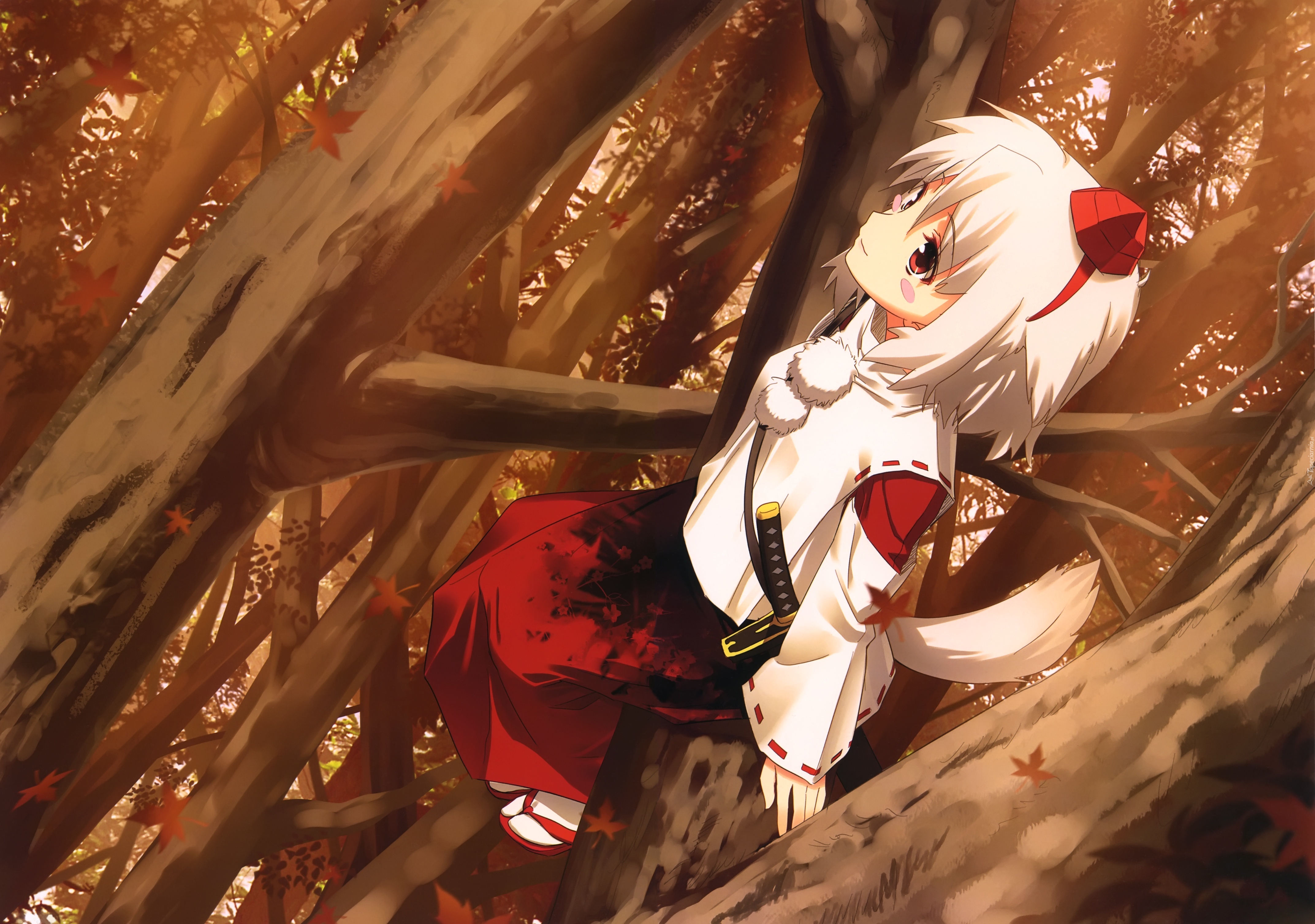 Touhou, Inubashiri Momiji