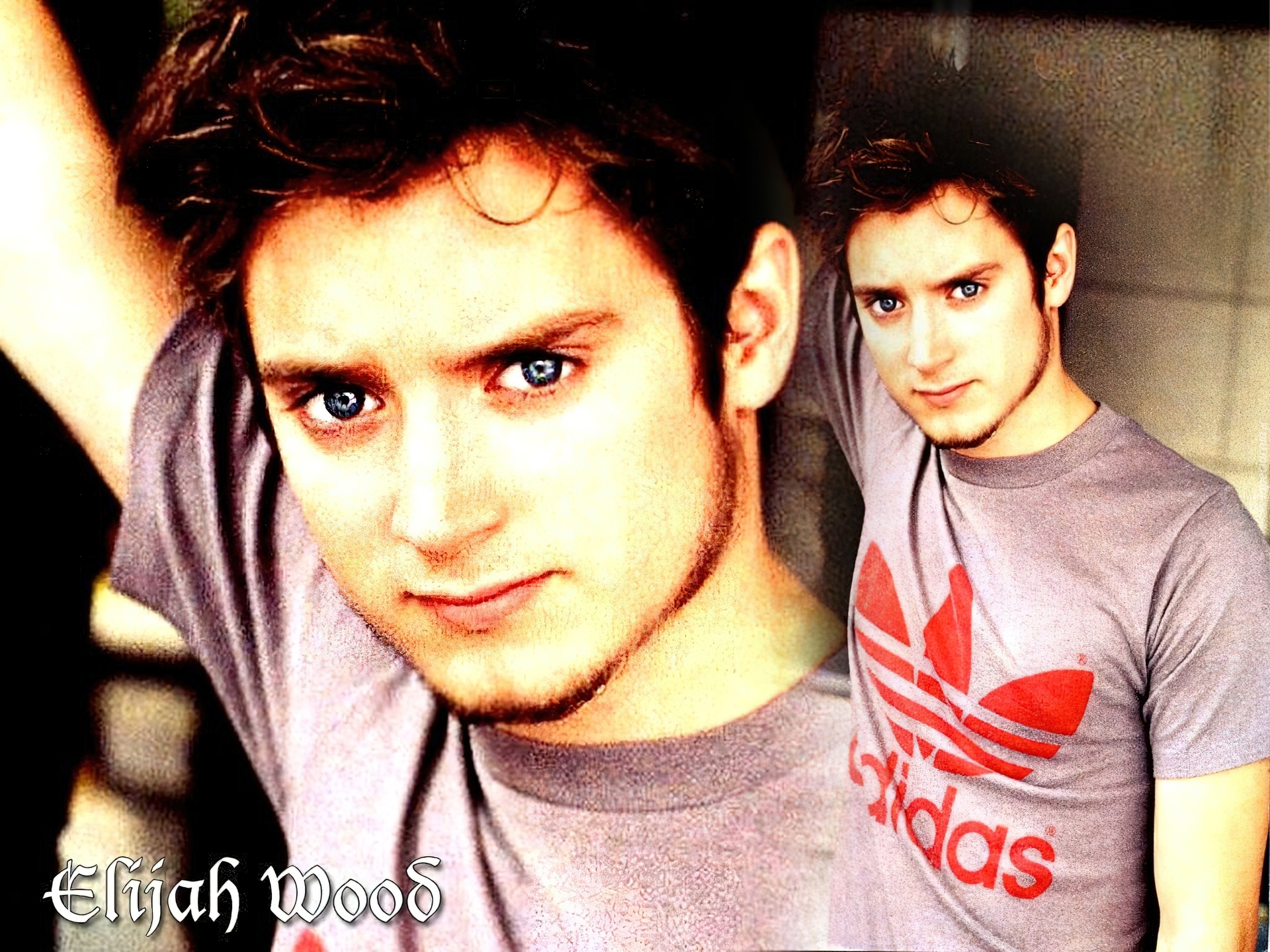 Elijah Wood,t-shirt, adidas