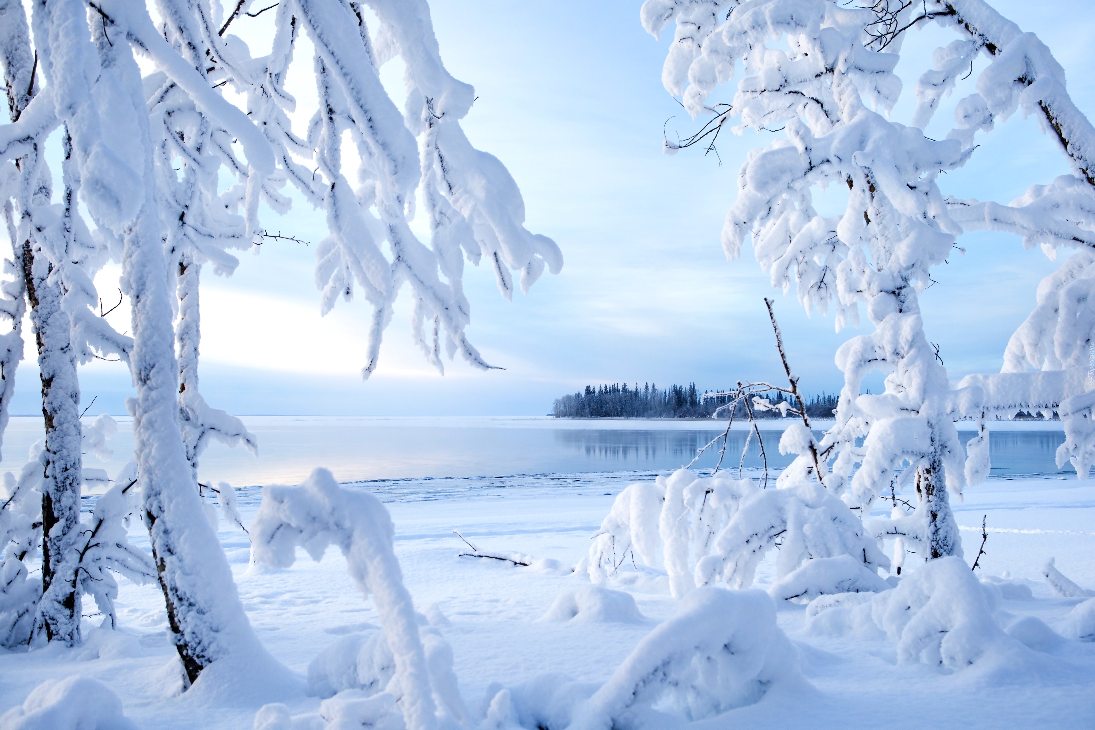 Картинка зимний период. Природа зимой. Красивая зима. Снежная зима. Зимний пейзаж на рабочий стол.