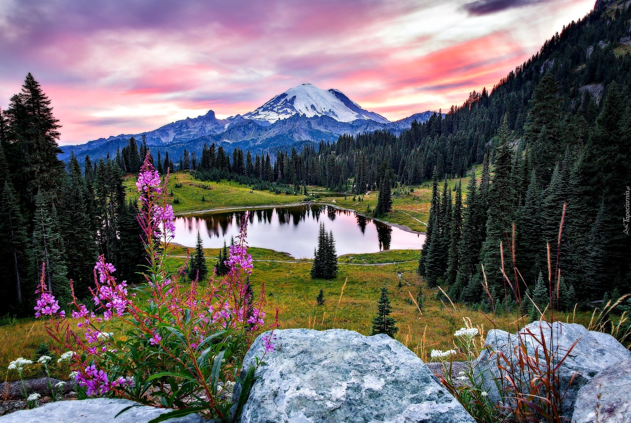 Stany Zjednoczone, Stan Waszyngton, Park Narodowy Mount Rainier, Jezioro Tipsoo, Góry, Lasy