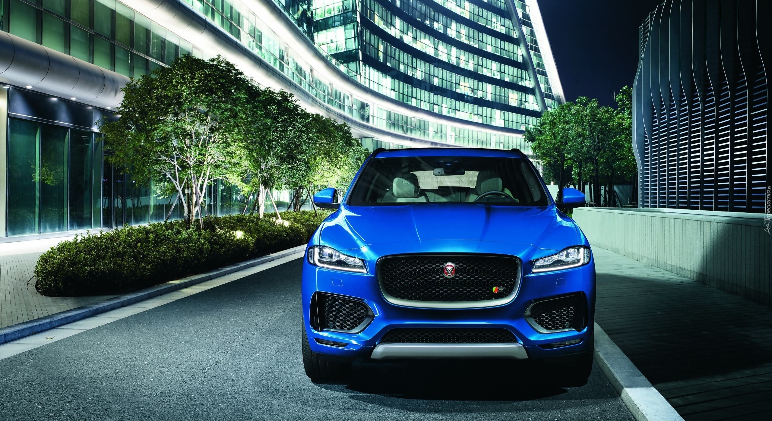 Jaguar, F-Pace, Droga, Wieżowce