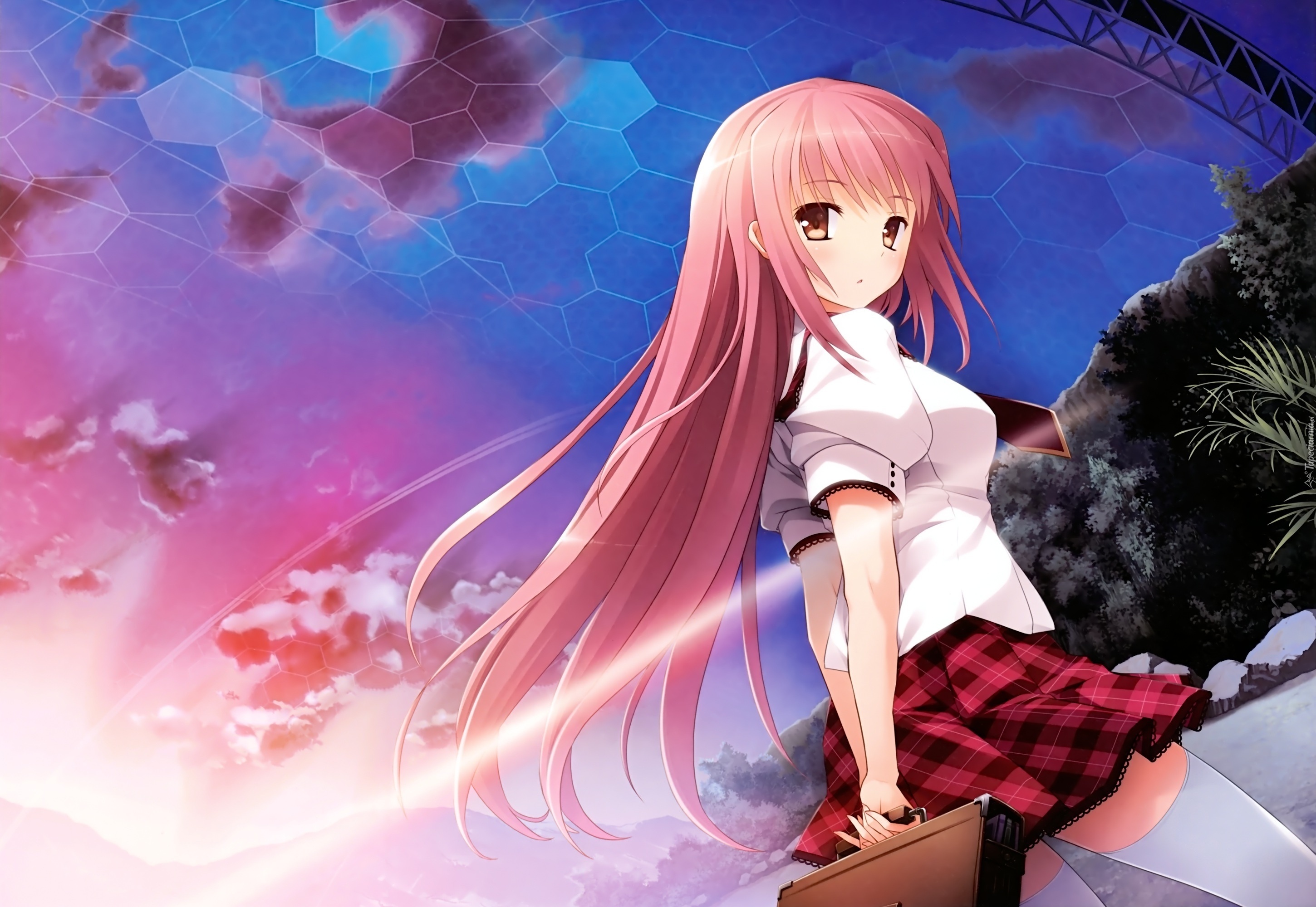 Dziewczyna, Teczka, Manga, Anime, Fantasy
