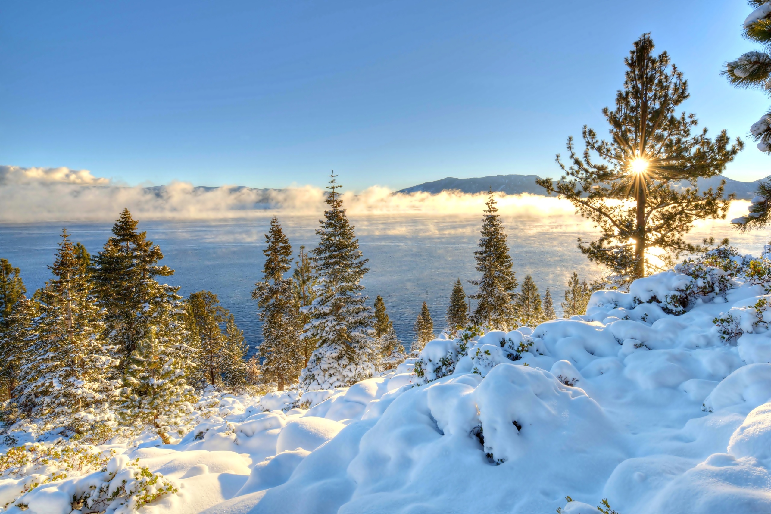 Zima, Jezioro, Tahoe, Promienie Słońca, Drzewa, Kalifornia