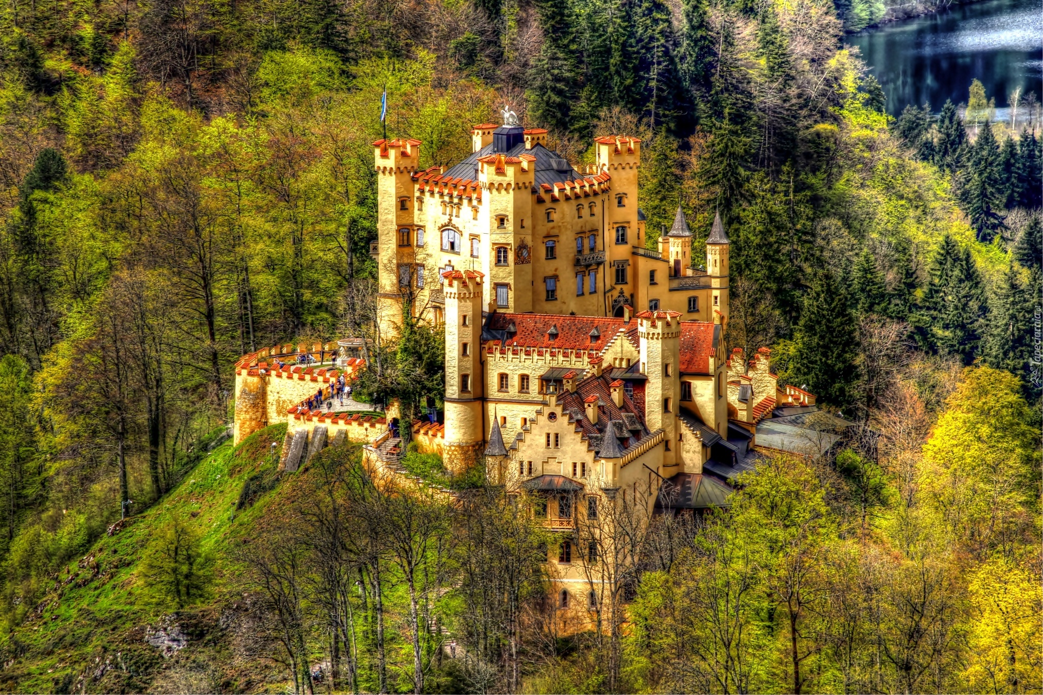 Niemcy, Zamek Hohenschwangau, Las