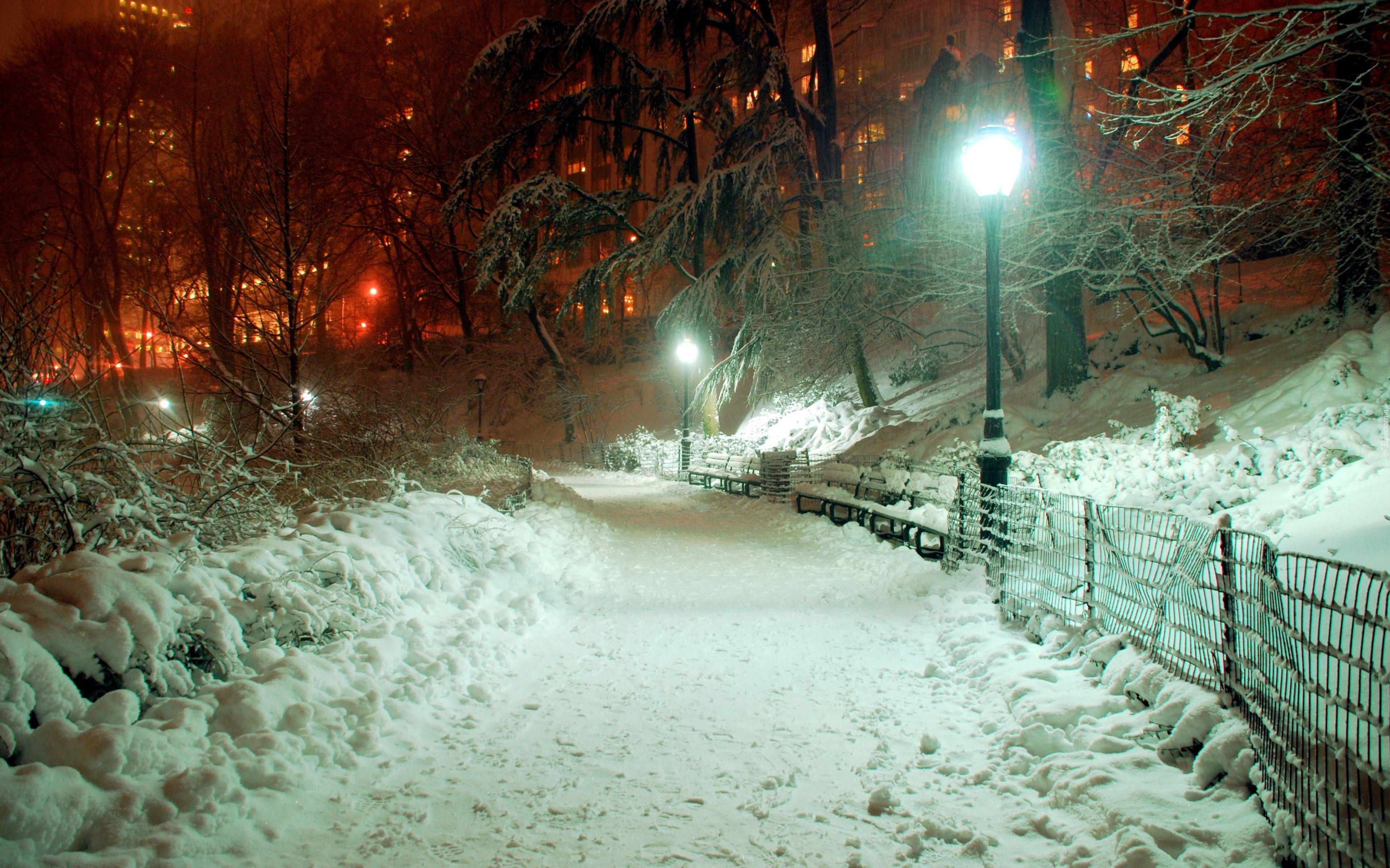 Śnieg, Zima, Park