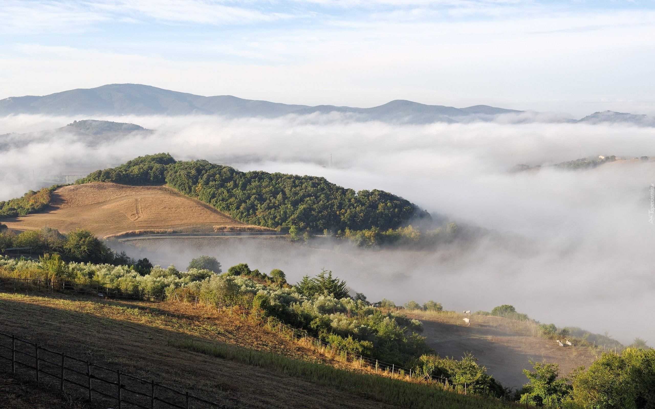 Góry, Jezioro, Lasy, Mgły