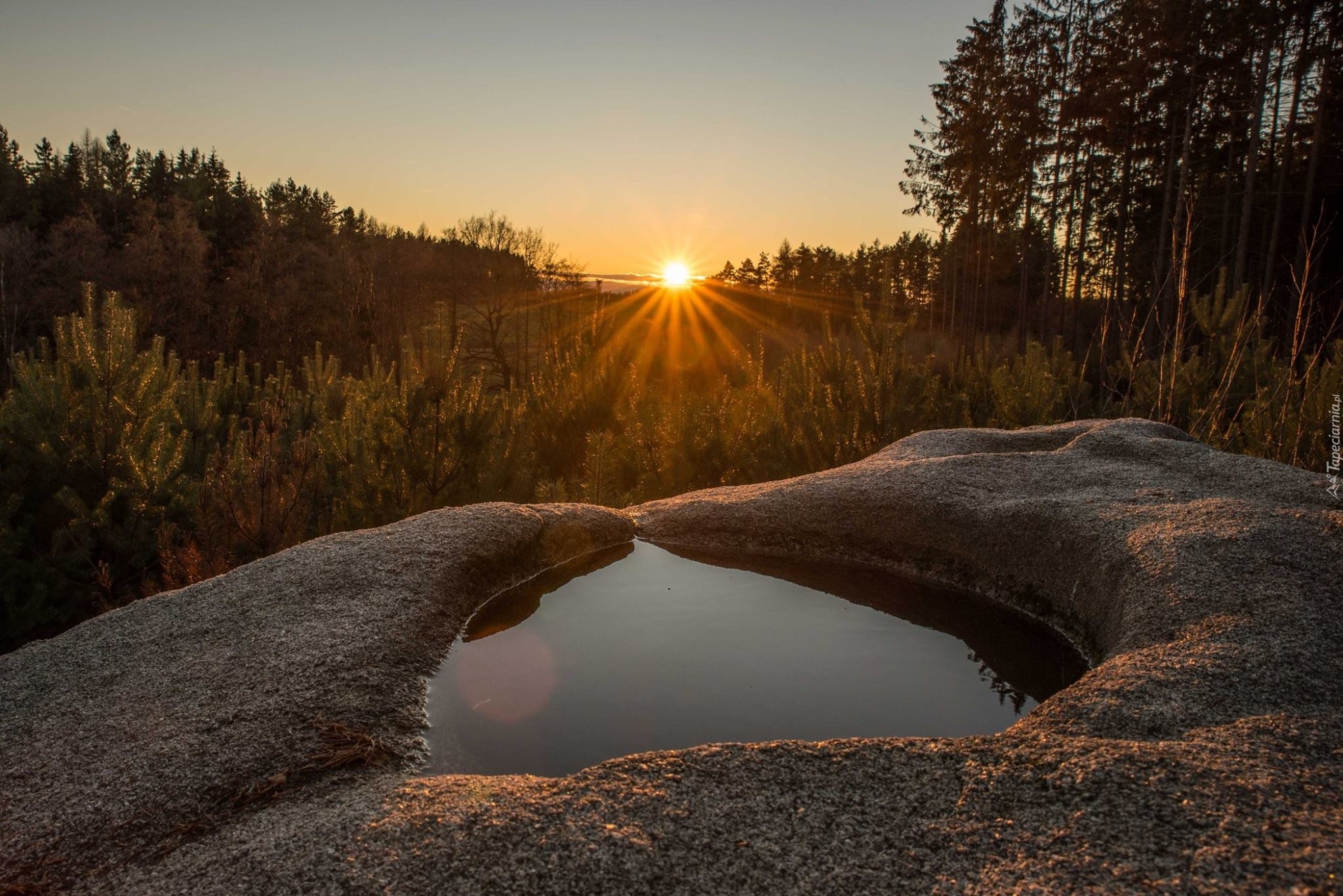 Czechy, Wschód słońca, Las