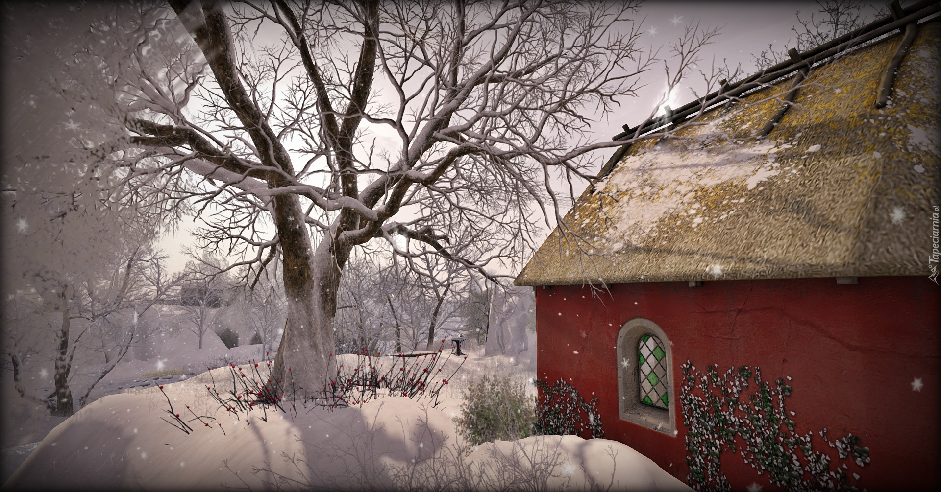 Śnieg, Drzewo, Chata
