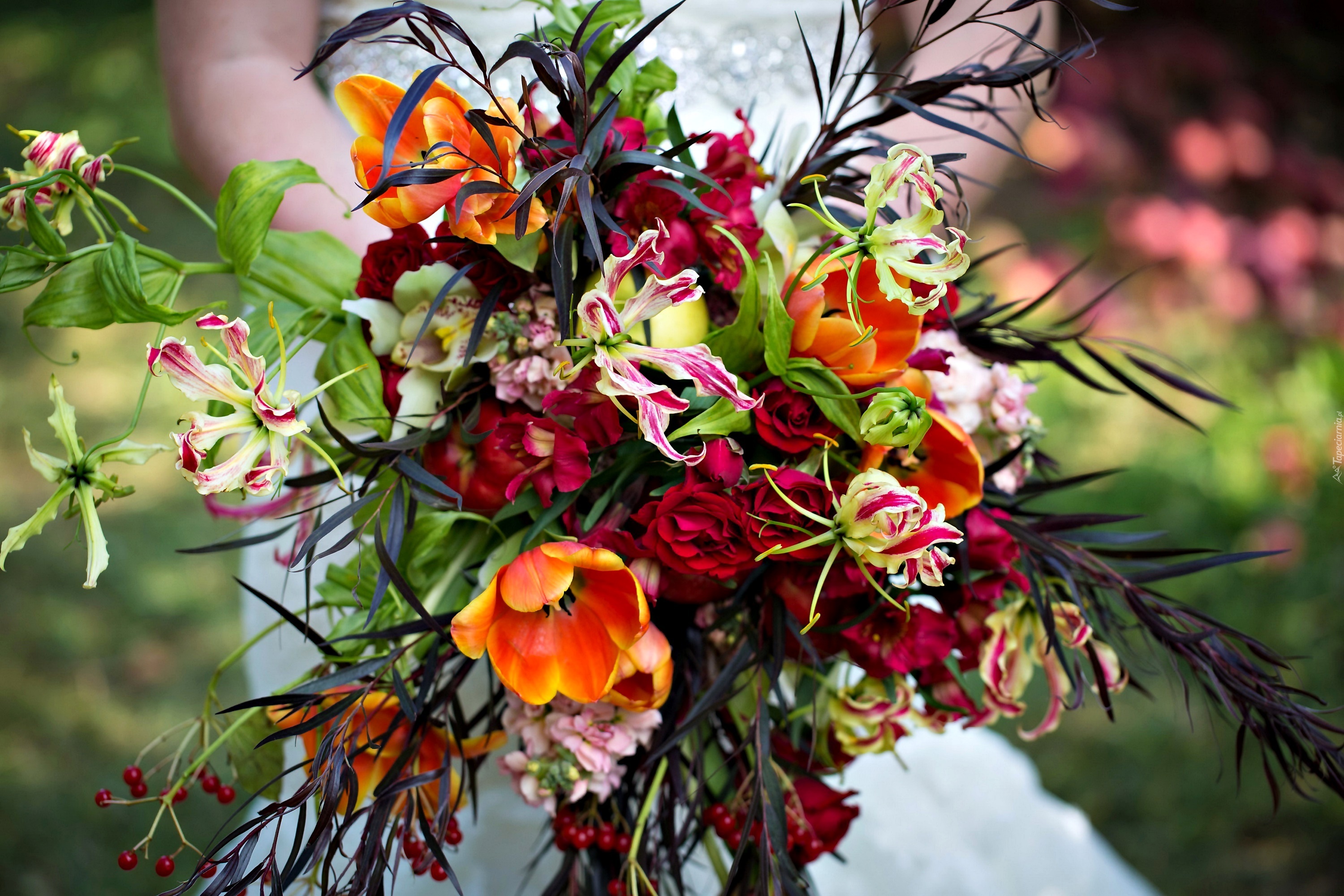 Bukiet Kwiatów, Róża, Tulipany, Orchidea, Alstroemeria