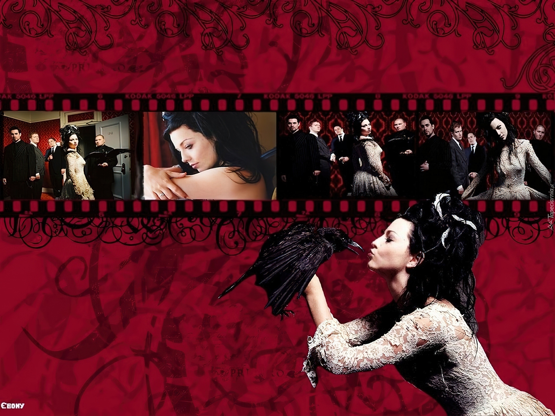 Evanescence,szpak, kobieta ,ludzie