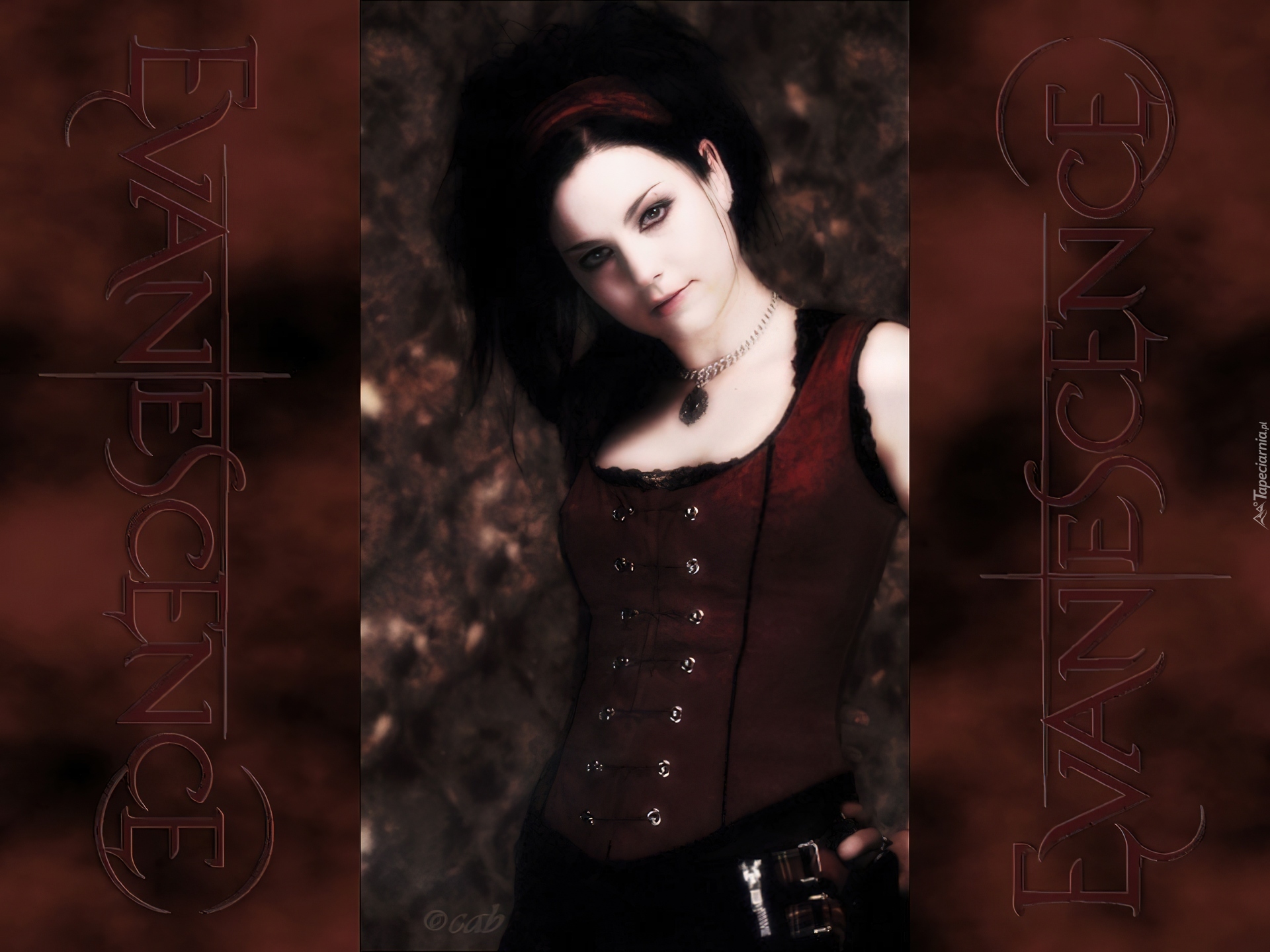 Amy Lee, Evanescence, Wokalistka