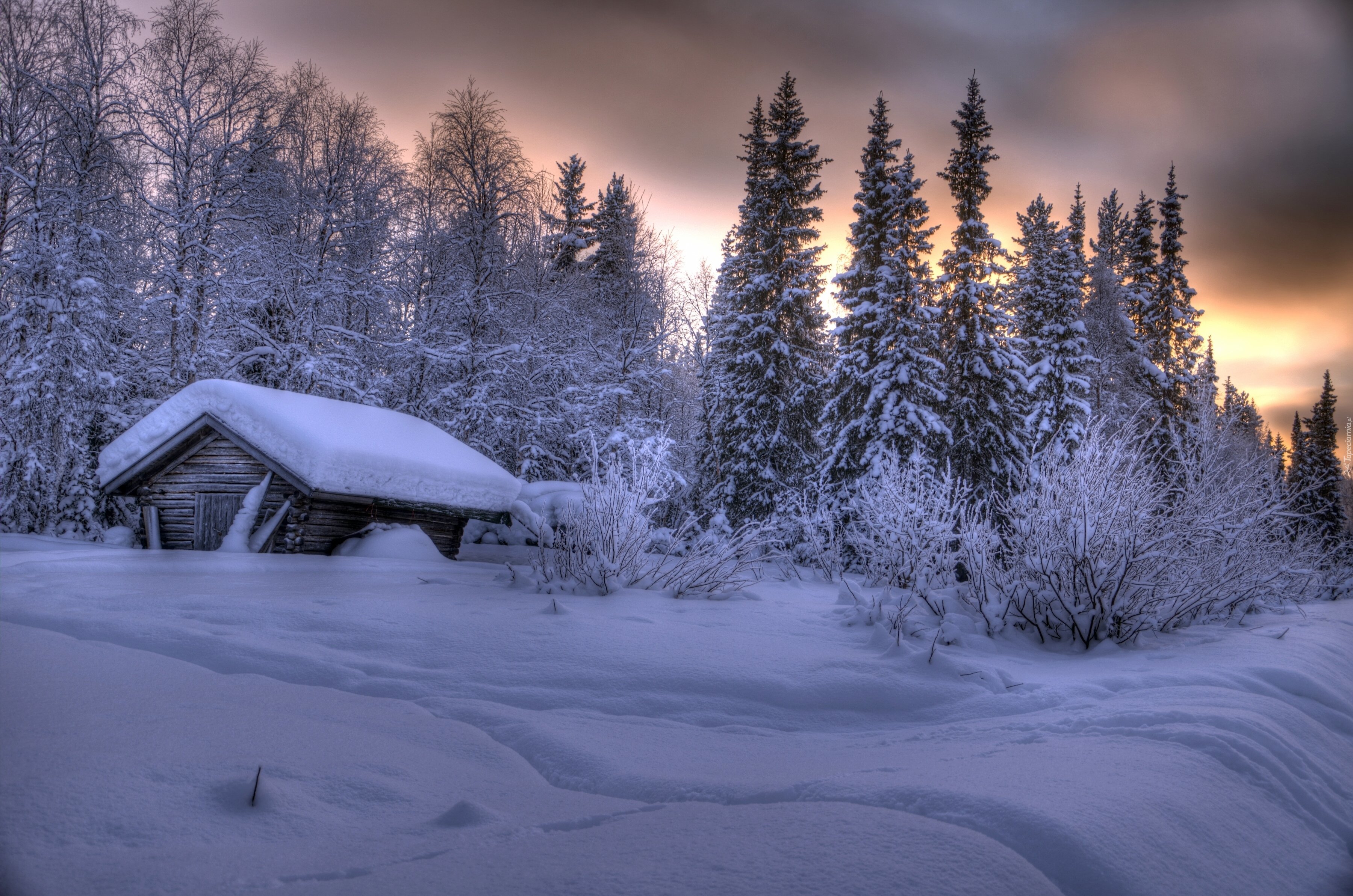 Zima, Dom, Śnieg, Drzewa