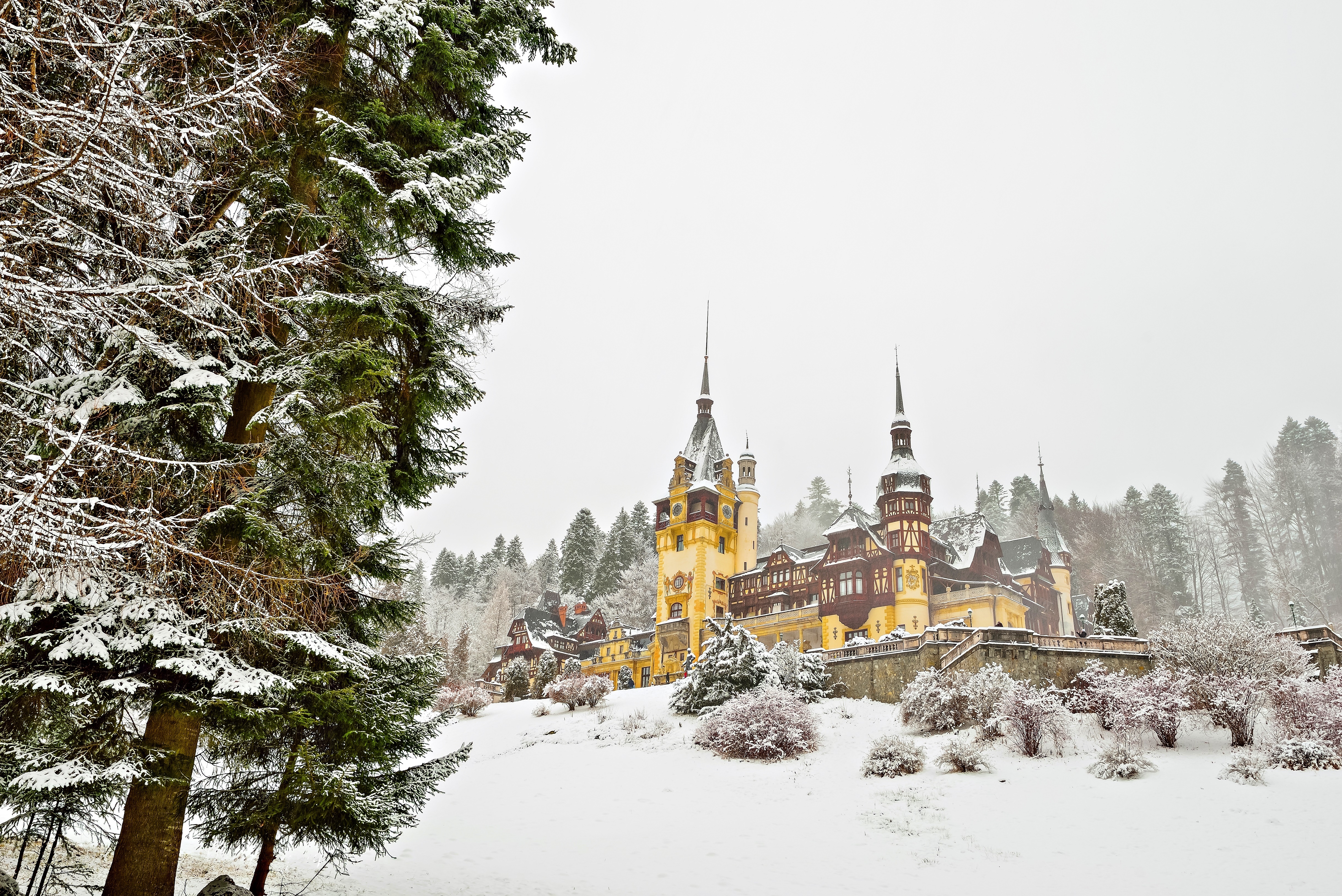 Pałac Peles, Castelul Peleş, Miejscowość Sinaia, Rumunia, Drzewa, Zima